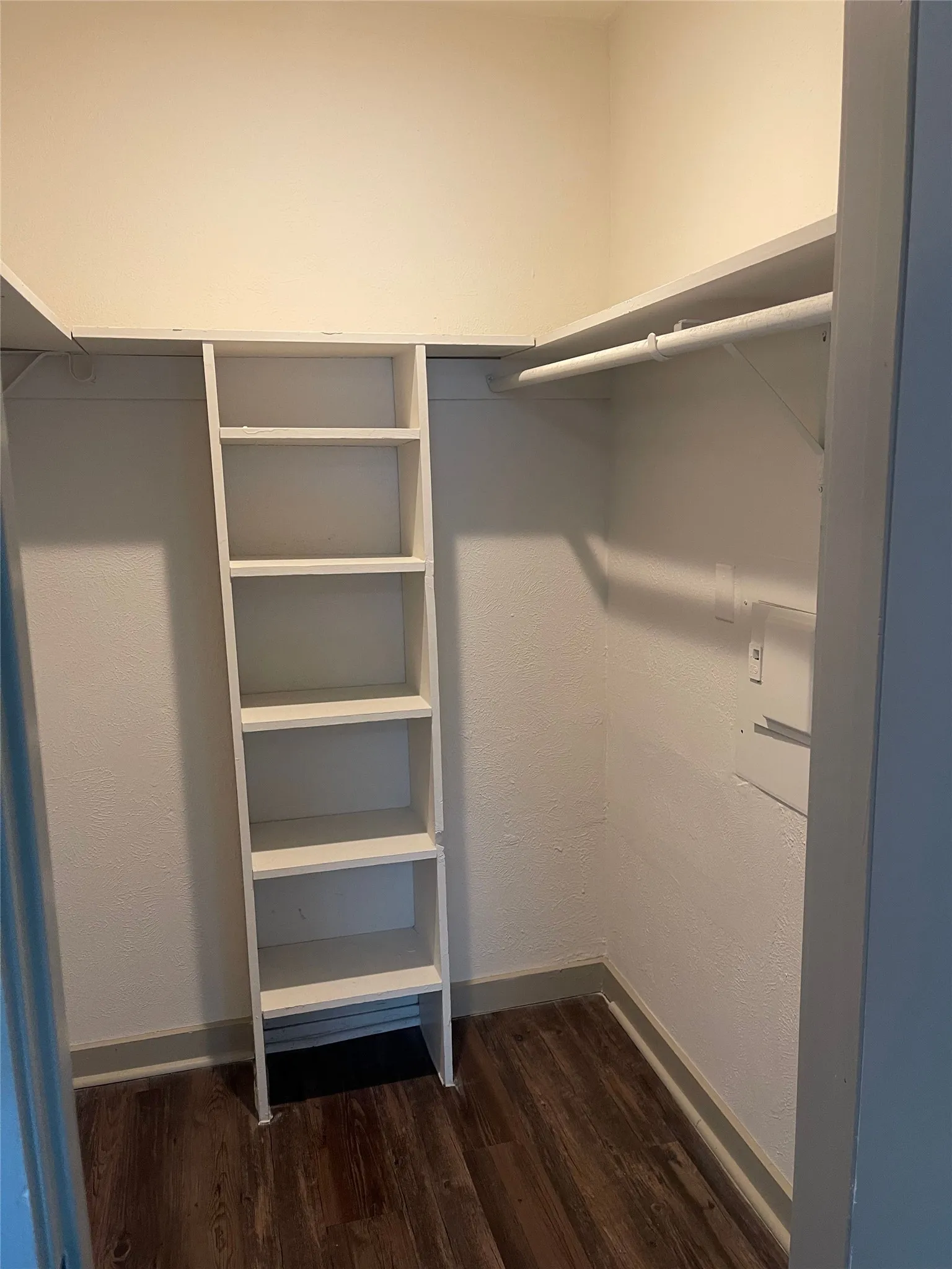 Walk-in closet with wood-finish flooring, built-in shelving, and hanging rods
