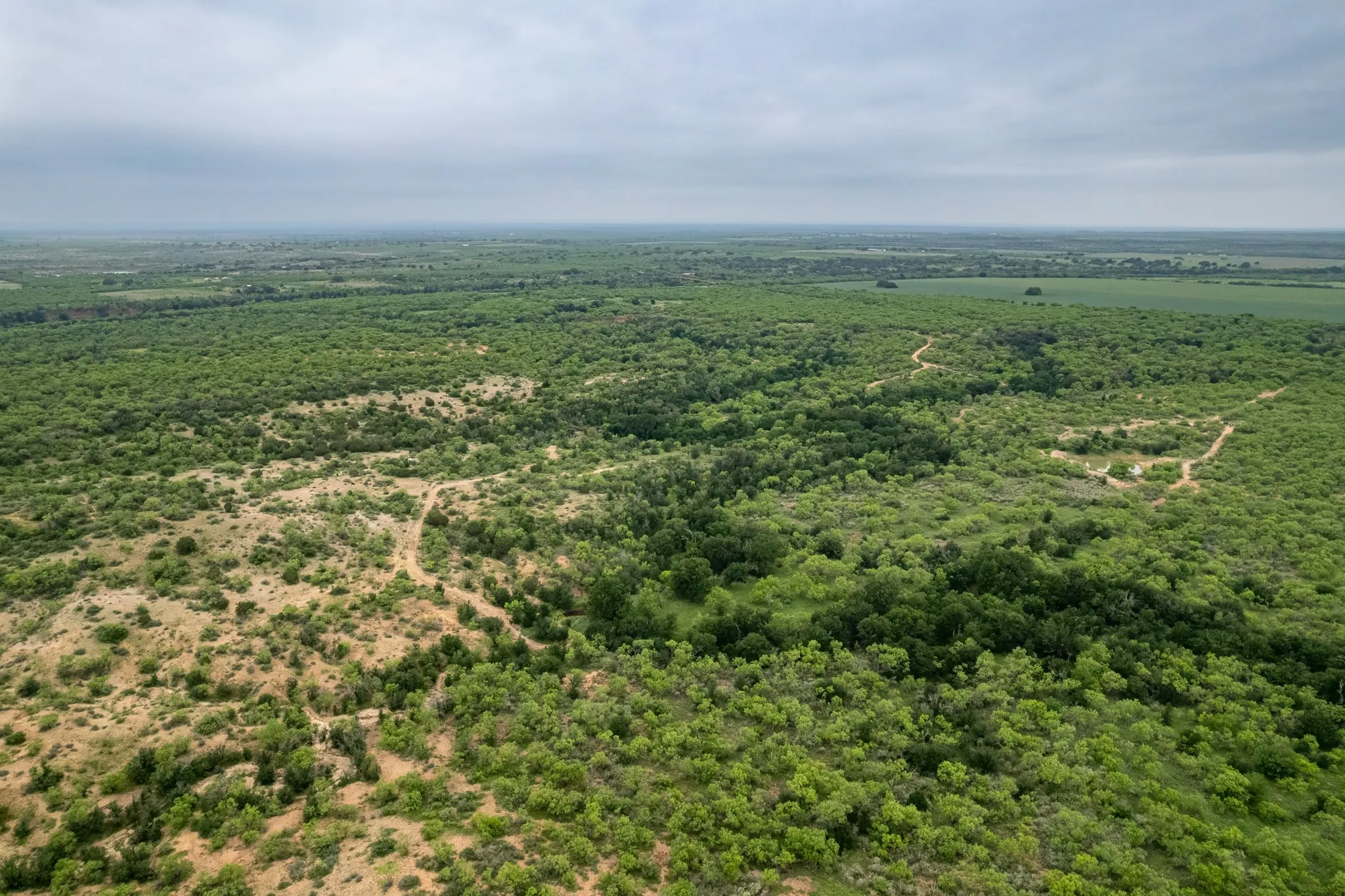 Ranch For Sale in Coleman County , 1853 County Road 220, Rockwood, Texas 76873, 0, 0, Garage spaces, 0 Sqft, built in 0, mls#21248758, Real Estate Agent in Rockwood, Homes For Sale in Coleman county, Homes For Sale in Rockwood, Realtor in Rockwood Texas, Real Estate Brokerage Independent Realty Texas, Luminita Cordes Realtor