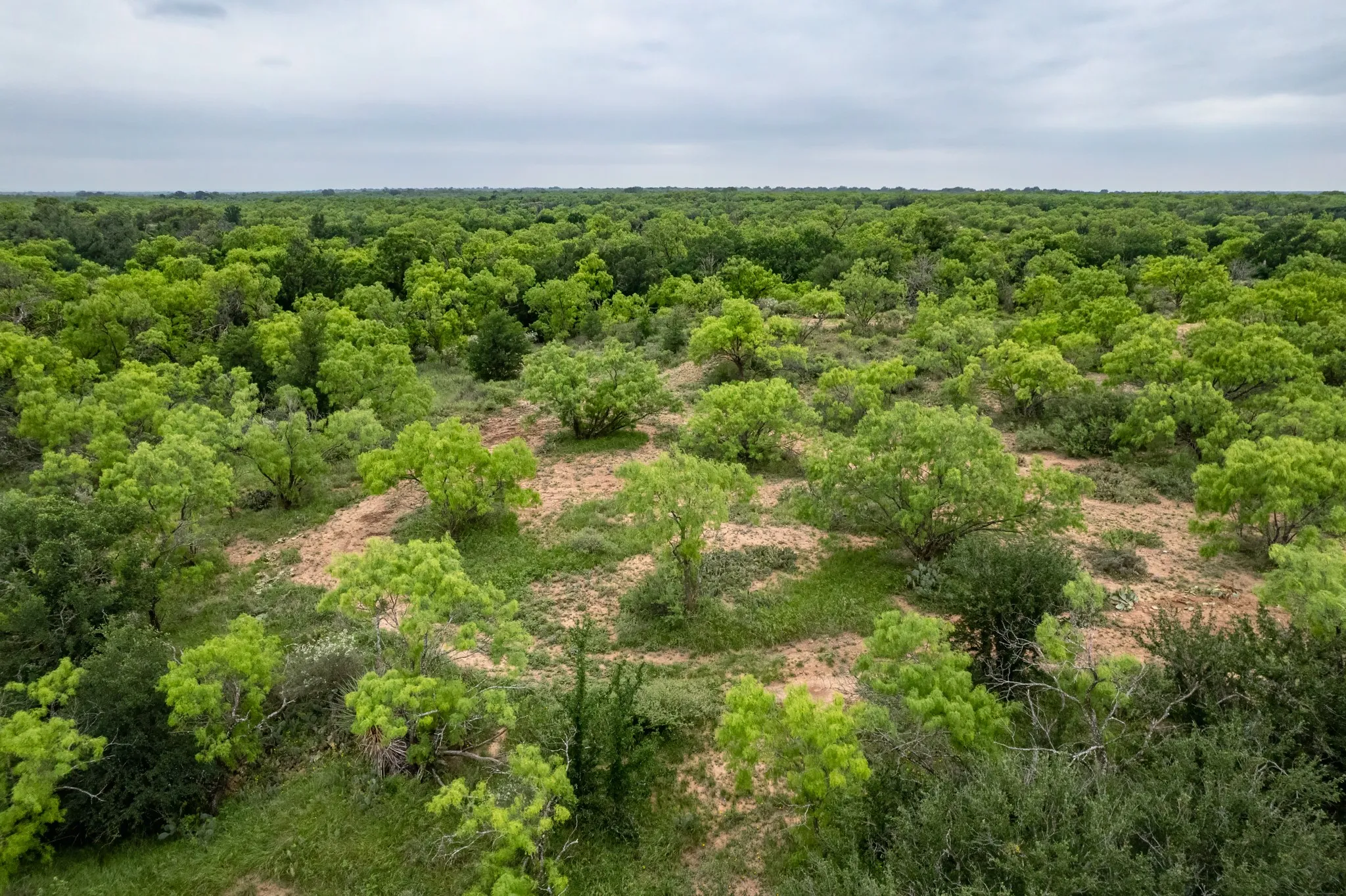 Ranch For Sale in Coleman County , 1853 County Road 220, Rockwood, Texas 76873, 0, 0, Garage spaces, 0 Sqft, built in 0, mls#21248758, Real Estate Agent in Rockwood, Homes For Sale in Coleman county, Homes For Sale in Rockwood, Realtor in Rockwood Texas, Real Estate Brokerage Independent Realty Texas, Luminita Cordes Realtor
