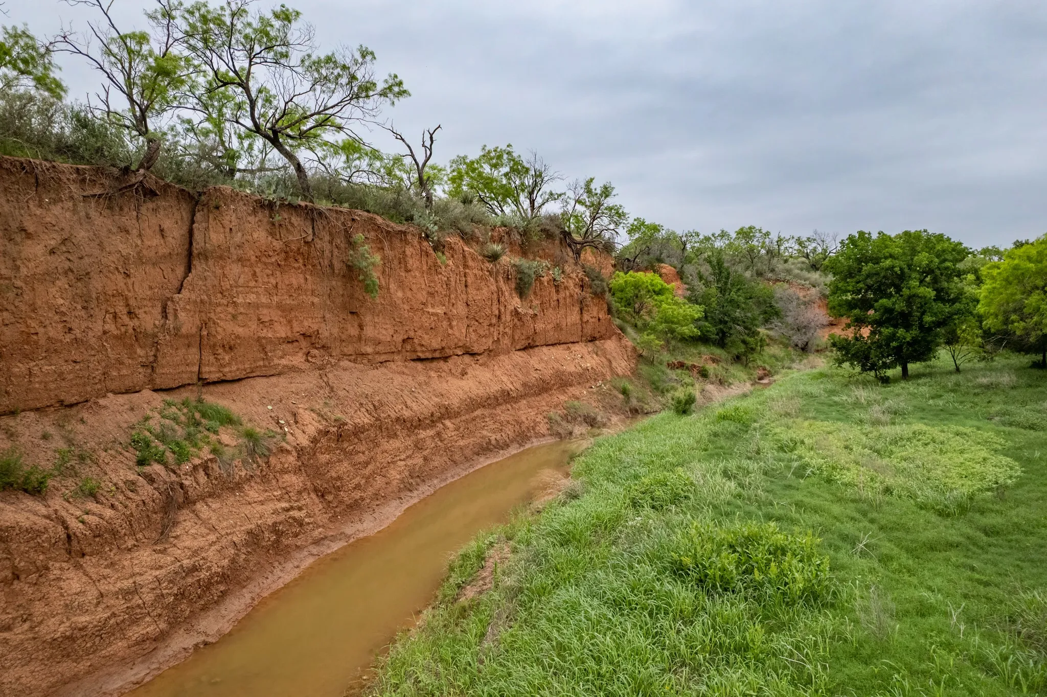 Ranch For Sale in Coleman County , 1853 County Road 220, Rockwood, Texas 76873, 0, 0, Garage spaces, 0 Sqft, built in 0, mls#21248758, Real Estate Agent in Rockwood, Homes For Sale in Coleman county, Homes For Sale in Rockwood, Realtor in Rockwood Texas, Real Estate Brokerage Independent Realty Texas, Luminita Cordes Realtor