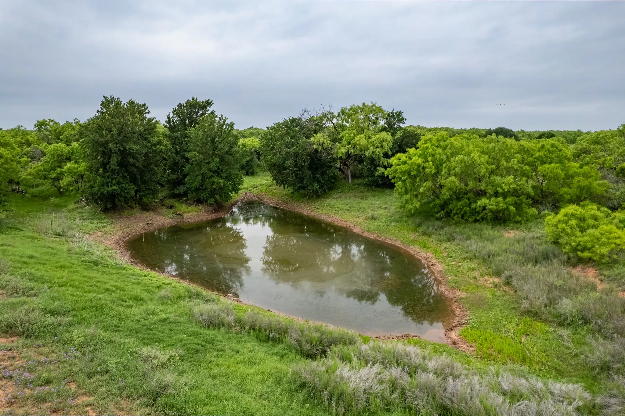 Ranch For Sale in Coleman County , 1853 County Road 220, Rockwood, Texas 76873, 0, 0, Garage spaces, 0 Sqft, built in 0, mls#21248758, Real Estate Agent in Rockwood, Homes For Sale in Coleman county, Homes For Sale in Rockwood, Realtor in Rockwood Texas, Real Estate Brokerage Independent Realty Texas, Luminita Cordes Realtor