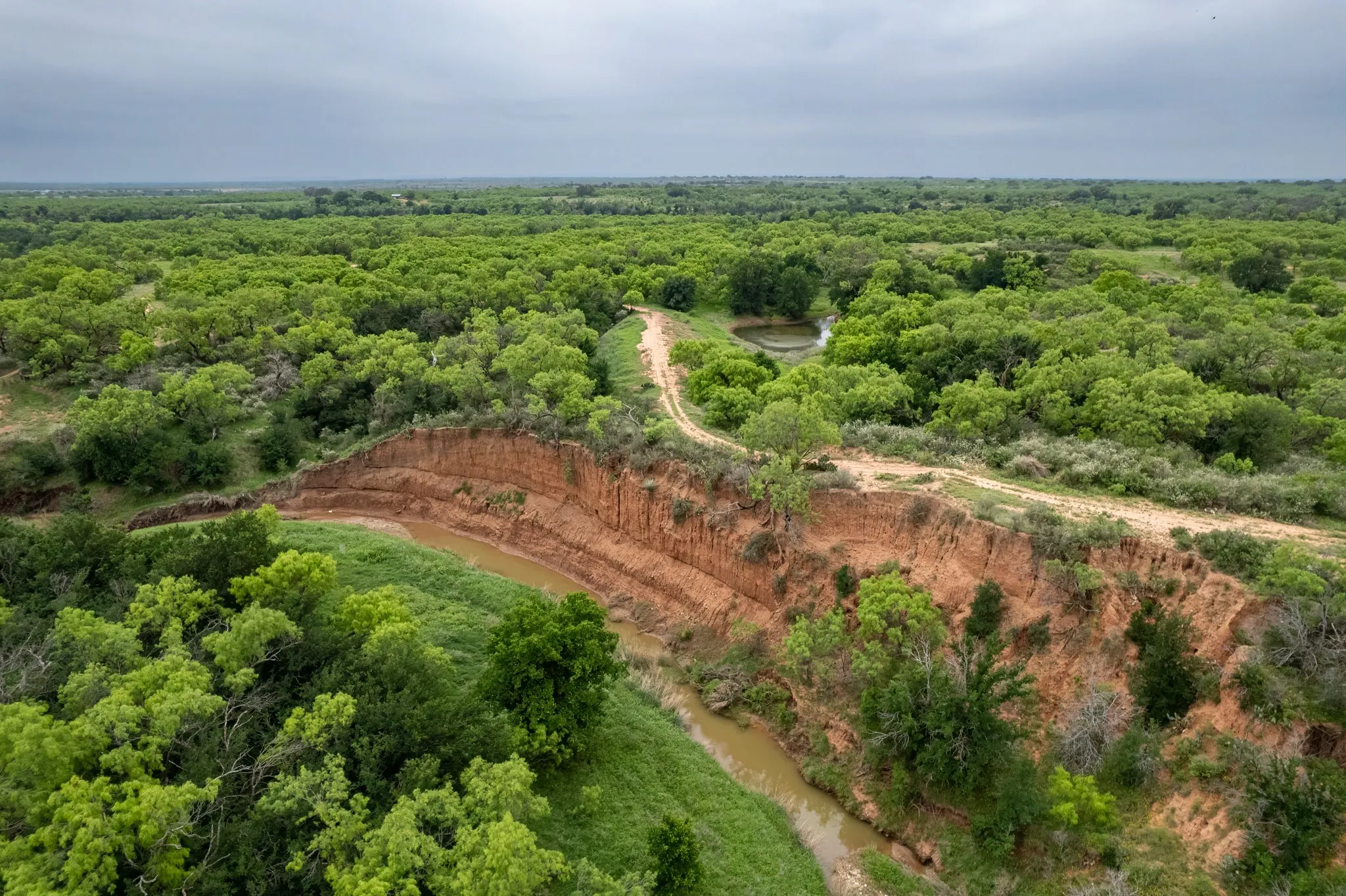 Ranch For Sale in Coleman County , 1853 County Road 220, Rockwood, Texas 76873, 0, 0, Garage spaces, 0 Sqft, built in 0, mls#21248758, Real Estate Agent in Rockwood, Homes For Sale in Coleman county, Homes For Sale in Rockwood, Realtor in Rockwood Texas, Real Estate Brokerage Independent Realty Texas, Luminita Cordes Realtor