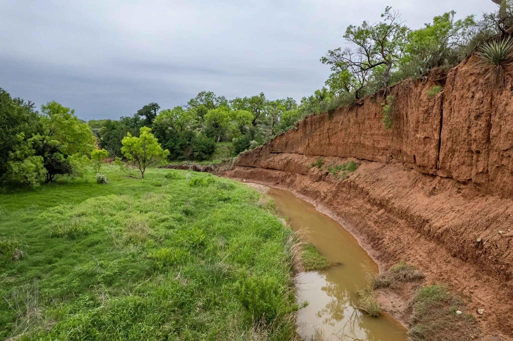 Ranch For Sale in Coleman County , 1853 County Road 220, Rockwood, Texas 76873, 0, 0, Garage spaces, 0 Sqft, built in 0, mls#21248758, Real Estate Agent in Rockwood, Homes For Sale in Coleman county, Homes For Sale in Rockwood, Realtor in Rockwood Texas, Real Estate Brokerage Independent Realty Texas, Luminita Cordes Realtor