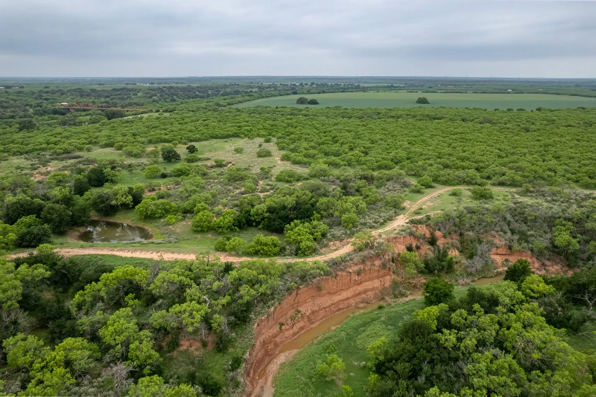 Ranch For Sale in Coleman County , 1853 County Road 220, Rockwood, Texas 76873, 0, 0, Garage spaces, 0 Sqft, built in 0, mls#21248758, Real Estate Agent in Rockwood, Homes For Sale in Coleman county, Homes For Sale in Rockwood, Realtor in Rockwood Texas, Real Estate Brokerage Independent Realty Texas, Luminita Cordes Realtor