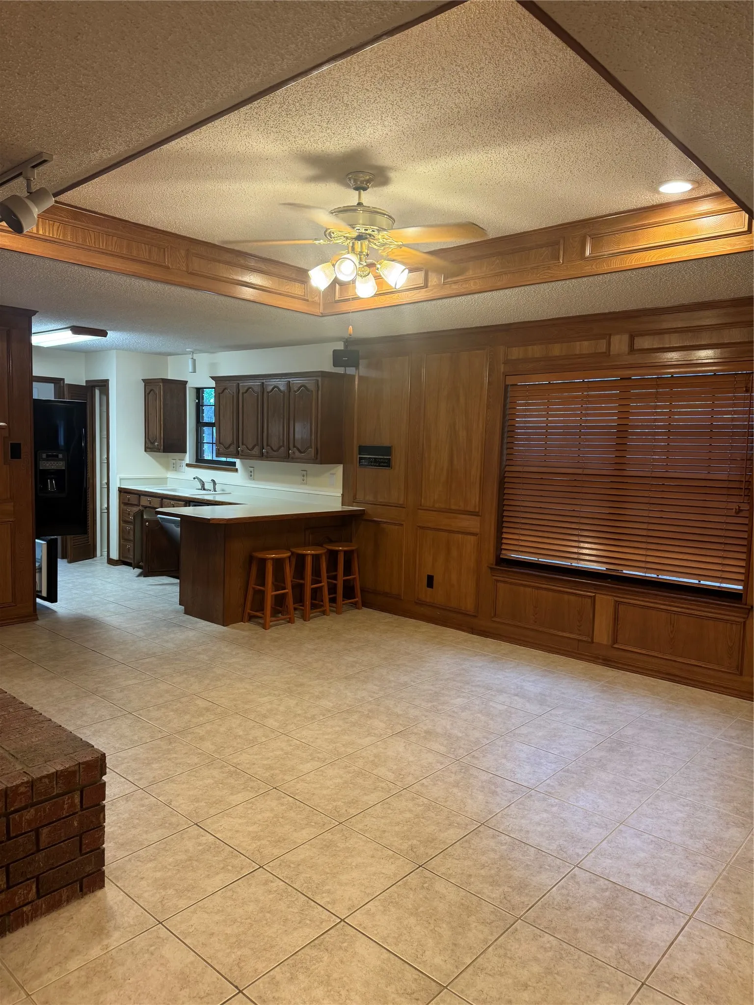 Den with tray ceilings

