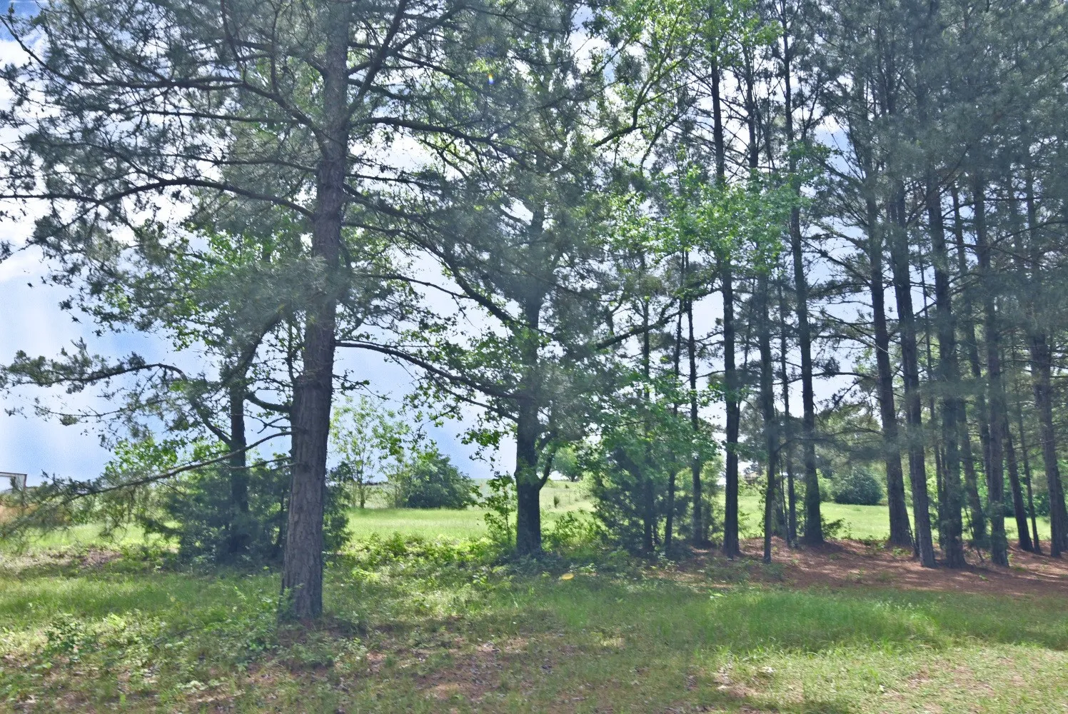 Business For Sale in Smith County , 4413 FM 16 W, Tyler, Texas 75706, 0, 0, Garage spaces, 0 Sqft, built in 0, Preowned, mls#21247748, Real Estate Agent in Tyler, Homes For Sale in Smith county, Homes For Sale in Tyler, Realtor in Tyler Texas, Real Estate Brokerage Independent Realty Texas, Luminita Cordes Realtor