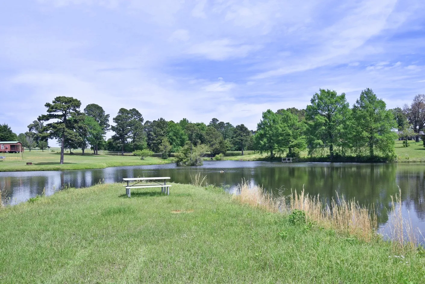 Business For Sale in Smith County , 4413 FM 16 W, Tyler, Texas 75706, 0, 0, Garage spaces, 0 Sqft, built in 0, Preowned, mls#21247748, Real Estate Agent in Tyler, Homes For Sale in Smith county, Homes For Sale in Tyler, Realtor in Tyler Texas, Real Estate Brokerage Independent Realty Texas, Luminita Cordes Realtor