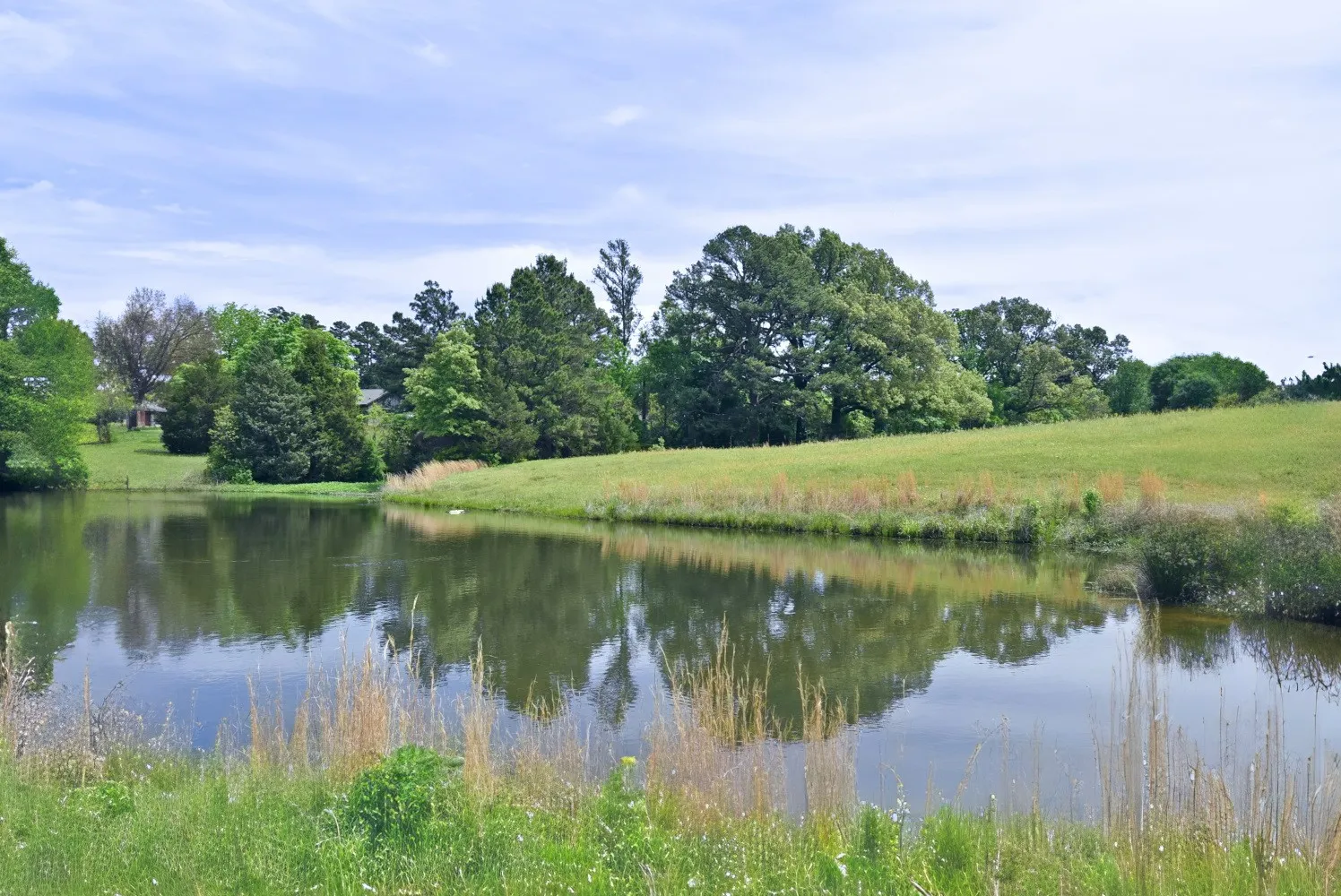 Business For Sale in Smith County , 4413 FM 16 W, Tyler, Texas 75706, 0, 0, Garage spaces, 0 Sqft, built in 0, Preowned, mls#21247748, Real Estate Agent in Tyler, Homes For Sale in Smith county, Homes For Sale in Tyler, Realtor in Tyler Texas, Real Estate Brokerage Independent Realty Texas, Luminita Cordes Realtor