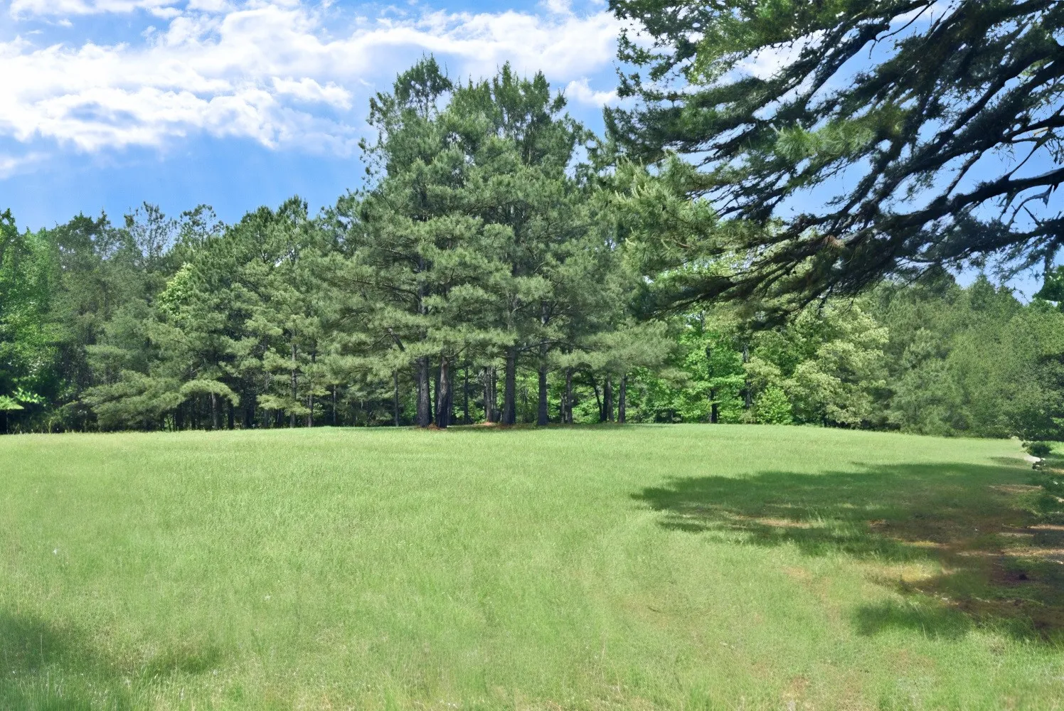 Business For Sale in Smith County , 4413 FM 16 W, Tyler, Texas 75706, 0, 0, Garage spaces, 0 Sqft, built in 0, Preowned, mls#21247748, Real Estate Agent in Tyler, Homes For Sale in Smith county, Homes For Sale in Tyler, Realtor in Tyler Texas, Real Estate Brokerage Independent Realty Texas, Luminita Cordes Realtor