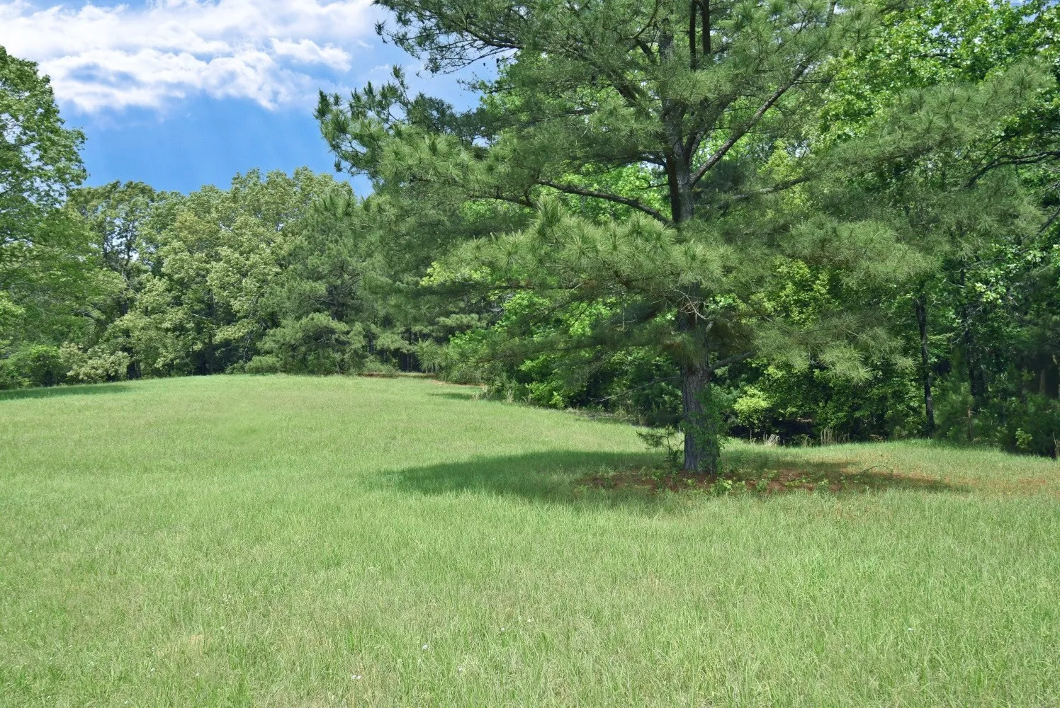 Business For Sale in Smith County , 4413 FM 16 W, Tyler, Texas 75706, 0, 0, Garage spaces, 0 Sqft, built in 0, Preowned, mls#21247748, Real Estate Agent in Tyler, Homes For Sale in Smith county, Homes For Sale in Tyler, Realtor in Tyler Texas, Real Estate Brokerage Independent Realty Texas, Luminita Cordes Realtor