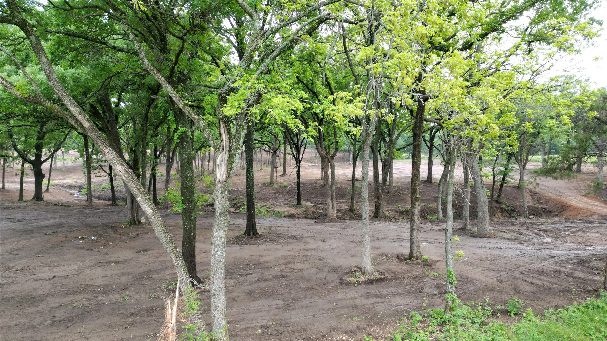Improved Land For Sale in Grayson County , 410-W Arkansas Road, Sadler, Texas 76264, 0, 0, Garage spaces, 0 Sqft, built in 0, mls#21247251, Real Estate Agent in Sadler, Homes For Sale in Grayson county, Homes For Sale in Sadler, Realtor in Sadler Texas, Real Estate Brokerage Independent Realty Texas, Luminita Cordes Realtor