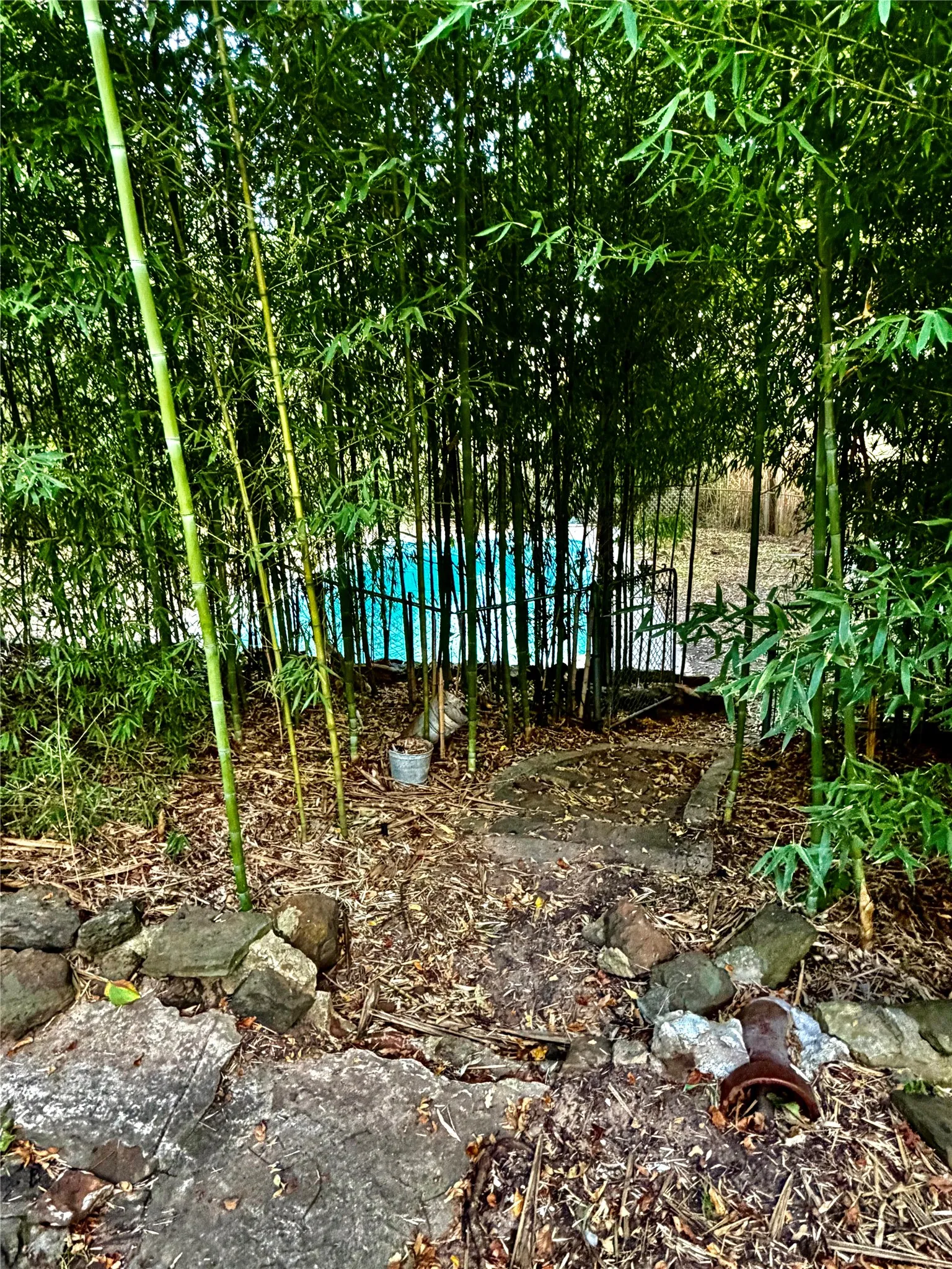 View of
Privacy pool!