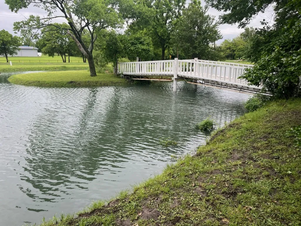Beautiful pond with a bridge to the island