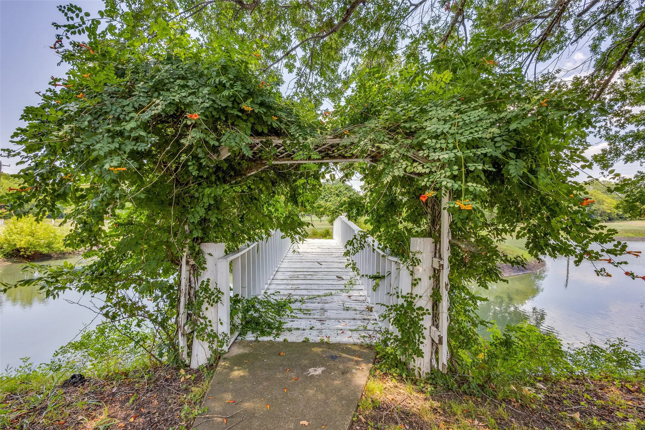 Bridge to island