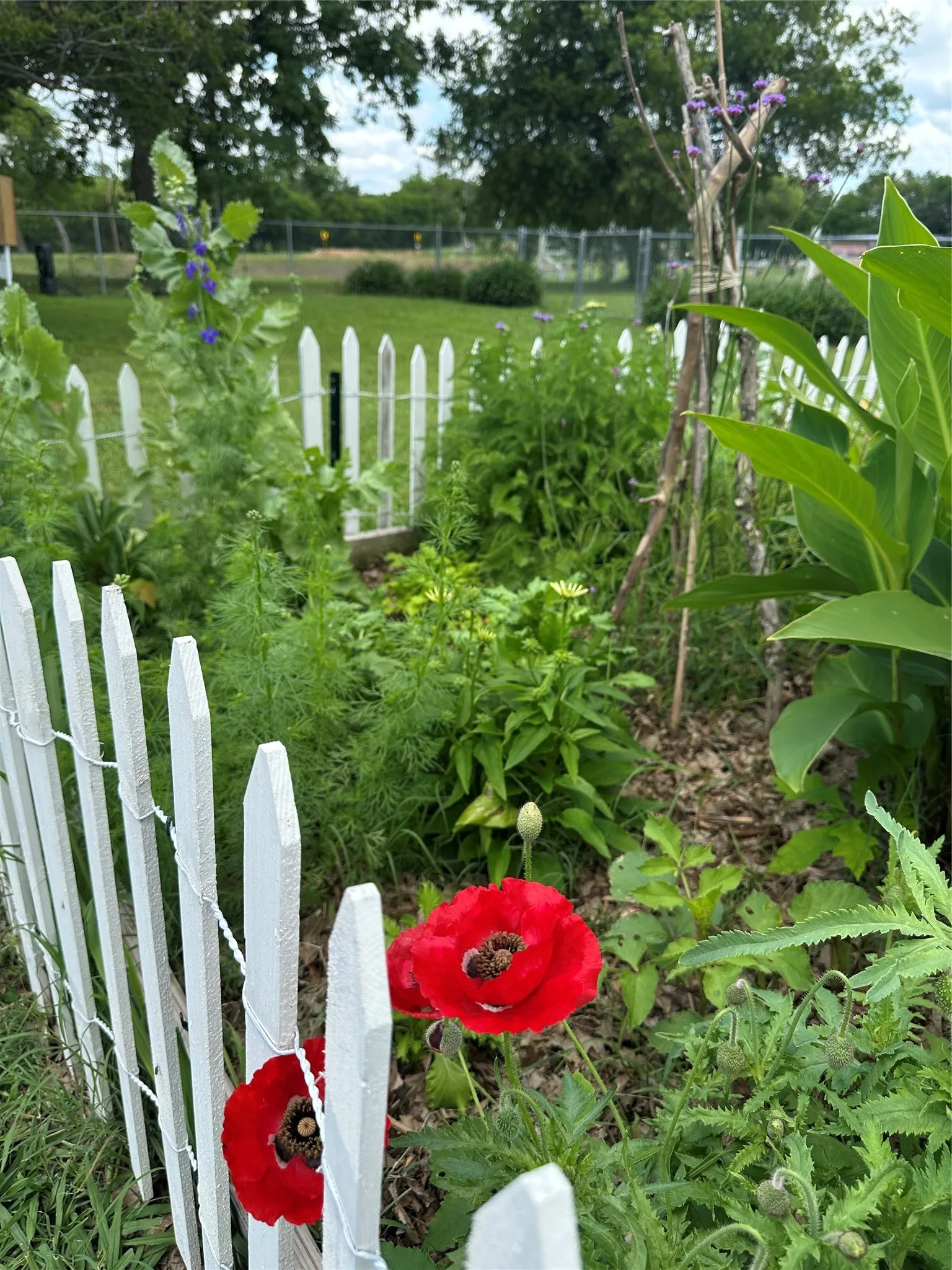 Beautiful Gardens