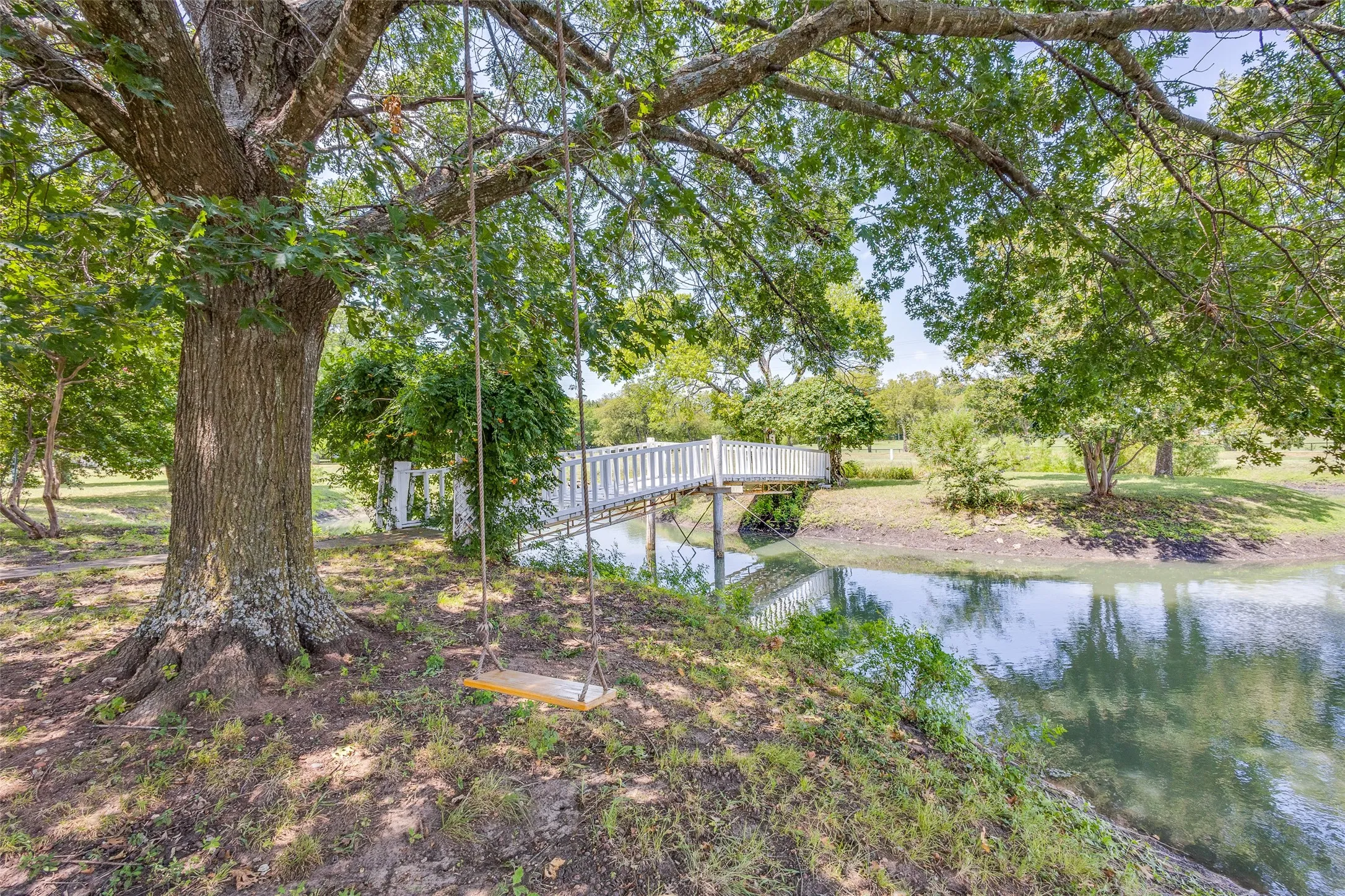 Picture perfect tree swing by pond