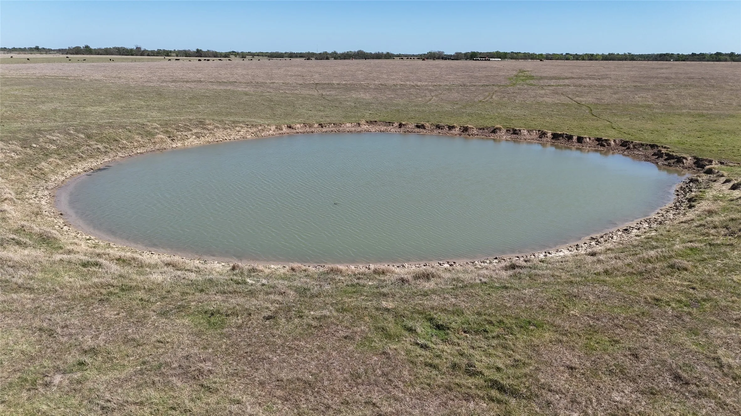 Ranch For Sale in Falls County , TBD Hwy 7, Kosse, Texas 76653, 0, 0, Garage spaces, 0 Sqft, built in 0, Price $1,500,000, mls#21249230, Real Estate Agent in Kosse, Homes For Sale in Falls county, Homes For Sale in Kosse, Realtor in Kosse Texas, Real Estate Brokerage Independent Realty Texas, Luminita Cordes Realtor