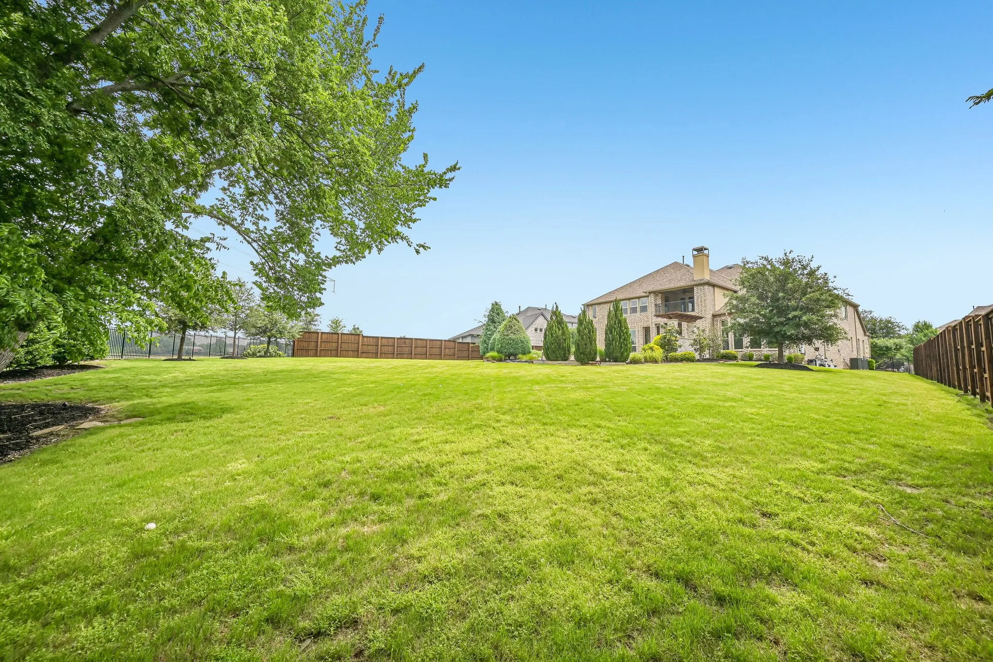Large Backyard