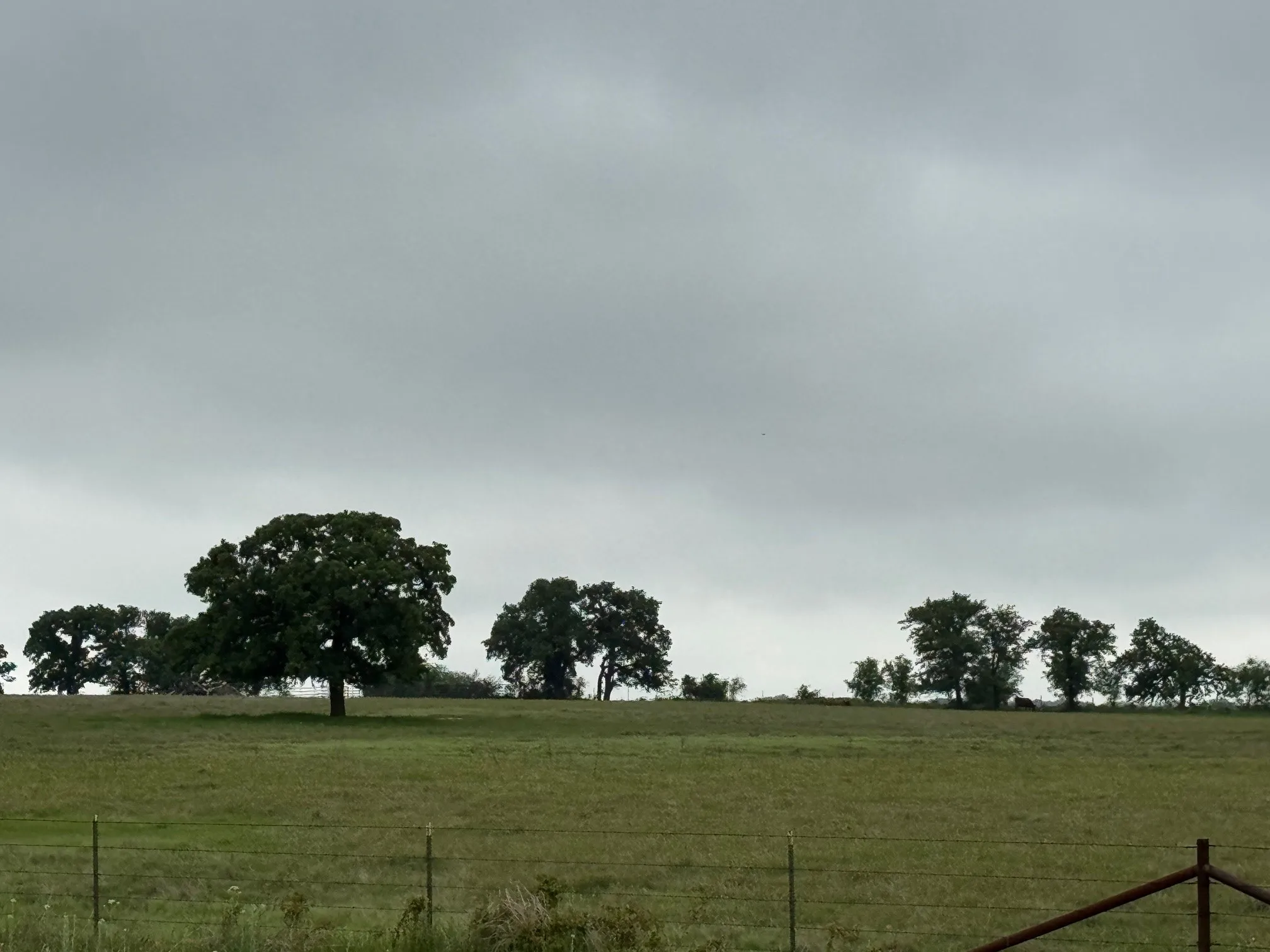 Unimproved Land For Sale in Parker County , 599 Lone Star, Poolville, Texas 76487, 0, 0, Garage spaces, 0 Sqft, built in 0, Price $875,000, mls#21248432, Real Estate Agent in Poolville, Homes For Sale in Parker county, Homes For Sale in Poolville, Realtor in Poolville Texas, Real Estate Brokerage Independent Realty Texas, Luminita Cordes Realtor