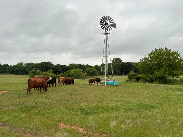 Unimproved Land For Sale in Parker County , 599 Lone Star, Poolville, Texas 76487, 0, 0, Garage spaces, 0 Sqft, built in 0, Price $875,000, mls#21248432, Real Estate Agent in Poolville, Homes For Sale in Parker county, Homes For Sale in Poolville, Realtor in Poolville Texas, Real Estate Brokerage Independent Realty Texas, Luminita Cordes Realtor