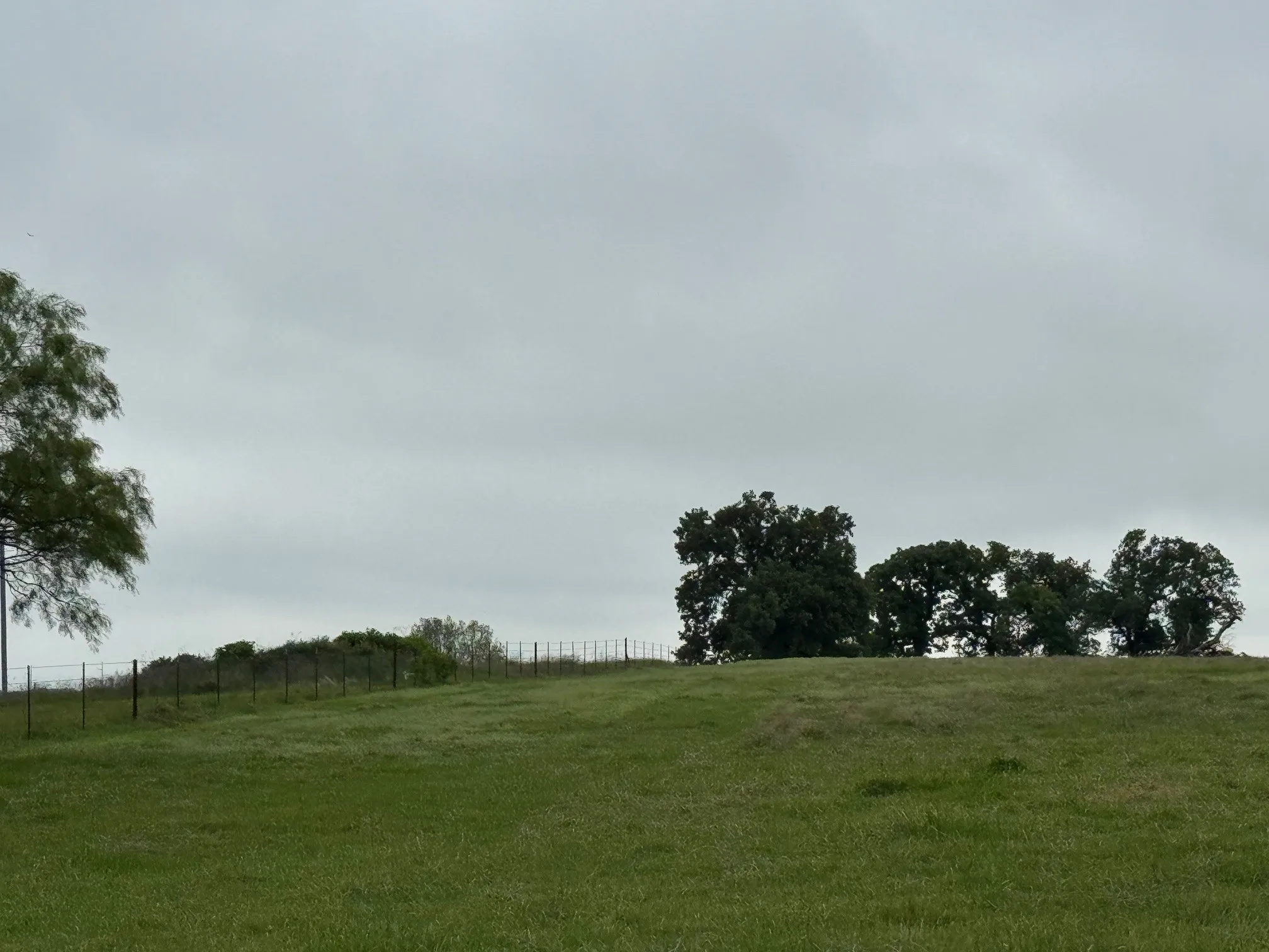 Unimproved Land For Sale in Parker County , 599 Lone Star, Poolville, Texas 76487, 0, 0, Garage spaces, 0 Sqft, built in 0, Price $875,000, mls#21248432, Real Estate Agent in Poolville, Homes For Sale in Parker county, Homes For Sale in Poolville, Realtor in Poolville Texas, Real Estate Brokerage Independent Realty Texas, Luminita Cordes Realtor