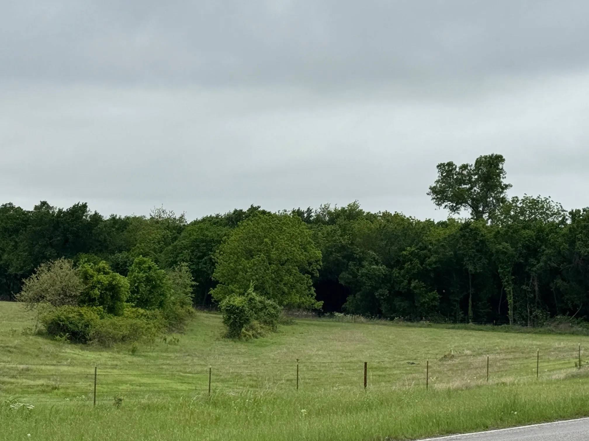 Unimproved Land For Sale in Parker County , 599 Lone Star, Poolville, Texas 76487, 0, 0, Garage spaces, 0 Sqft, built in 0, Price $875,000, mls#21248432, Real Estate Agent in Poolville, Homes For Sale in Parker county, Homes For Sale in Poolville, Realtor in Poolville Texas, Real Estate Brokerage Independent Realty Texas, Luminita Cordes Realtor
