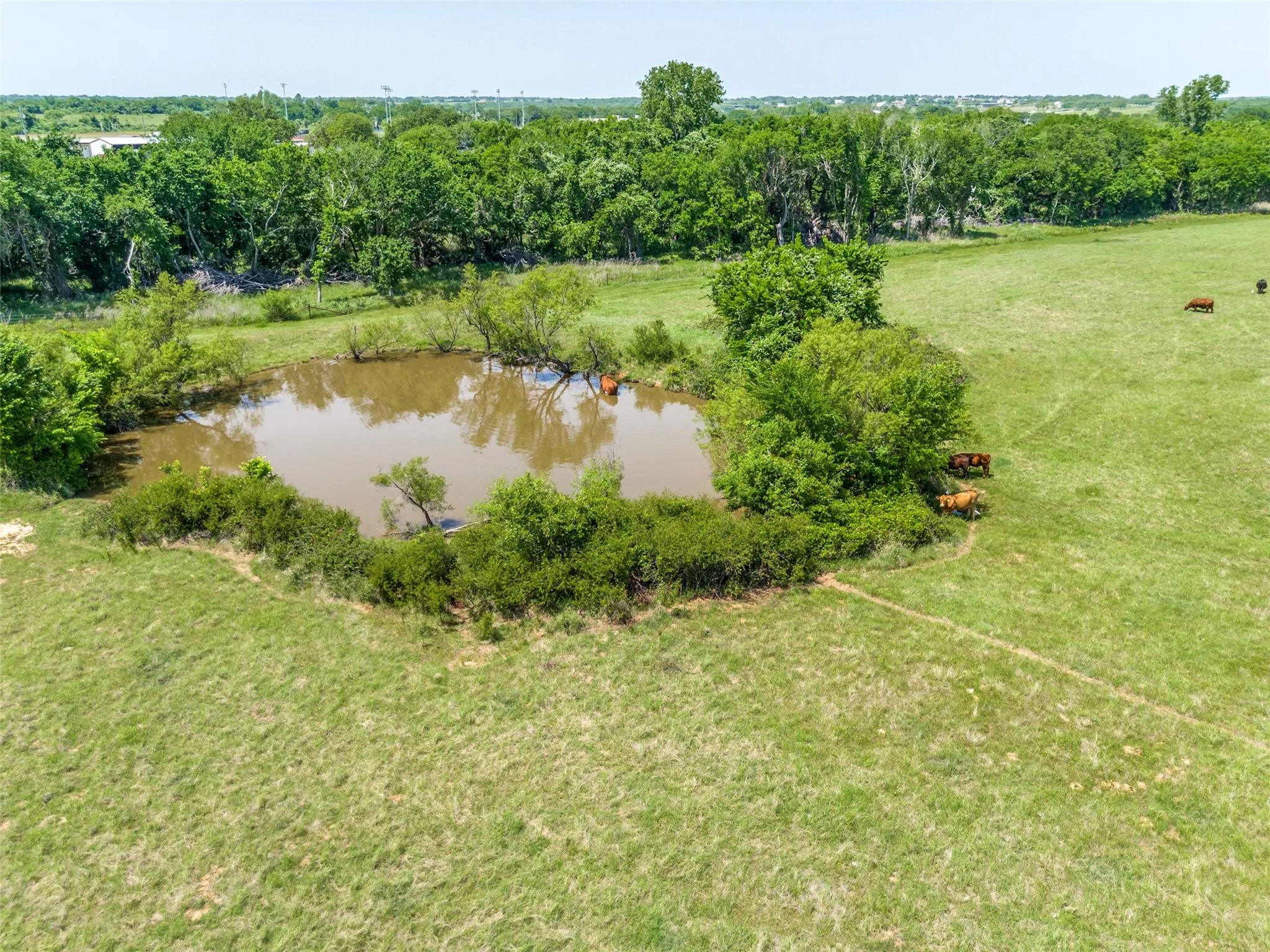 Unimproved Land For Sale in Parker County , 599 Lone Star, Poolville, Texas 76487, 0, 0, Garage spaces, 0 Sqft, built in 0, Price $875,000, mls#21248432, Real Estate Agent in Poolville, Homes For Sale in Parker county, Homes For Sale in Poolville, Realtor in Poolville Texas, Real Estate Brokerage Independent Realty Texas, Luminita Cordes Realtor