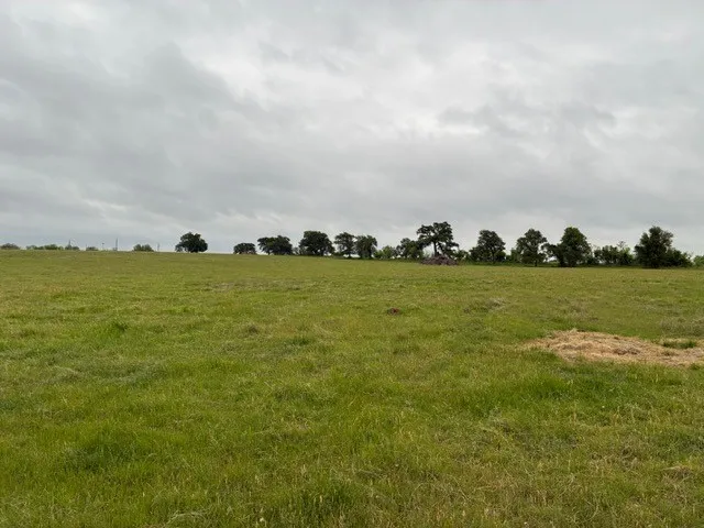 Unimproved Land For Sale in Parker County , 599 Lone Star, Poolville, Texas 76487, 0, 0, Garage spaces, 0 Sqft, built in 0, Price $875,000, mls#21248432, Real Estate Agent in Poolville, Homes For Sale in Parker county, Homes For Sale in Poolville, Realtor in Poolville Texas, Real Estate Brokerage Independent Realty Texas, Luminita Cordes Realtor