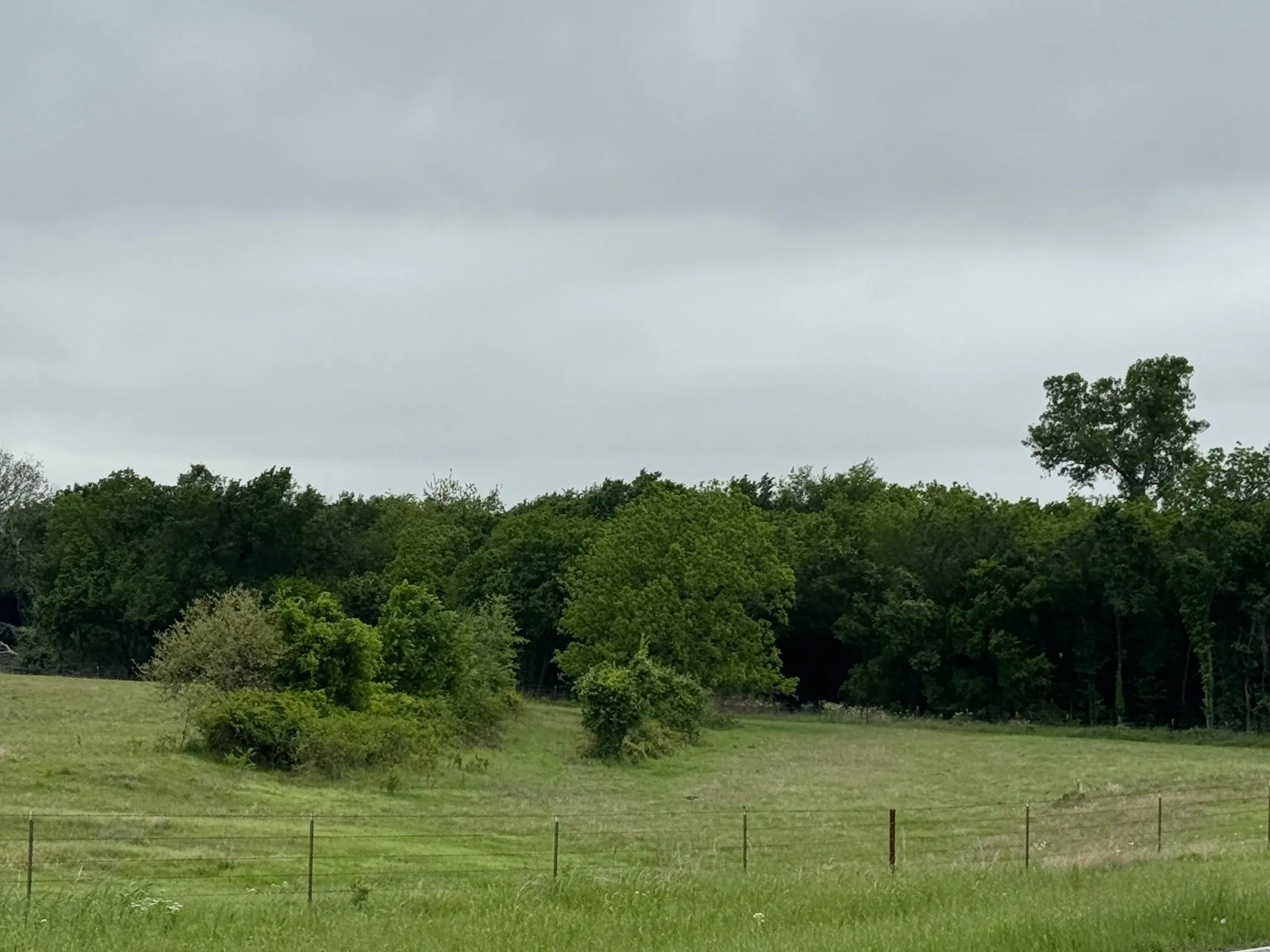 Unimproved Land For Sale in Parker County , 599 Lone Star, Poolville, Texas 76487, 0, 0, Garage spaces, 0 Sqft, built in 0, Price $875,000, mls#21248432, Real Estate Agent in Poolville, Homes For Sale in Parker county, Homes For Sale in Poolville, Realtor in Poolville Texas, Real Estate Brokerage Independent Realty Texas, Luminita Cordes Realtor