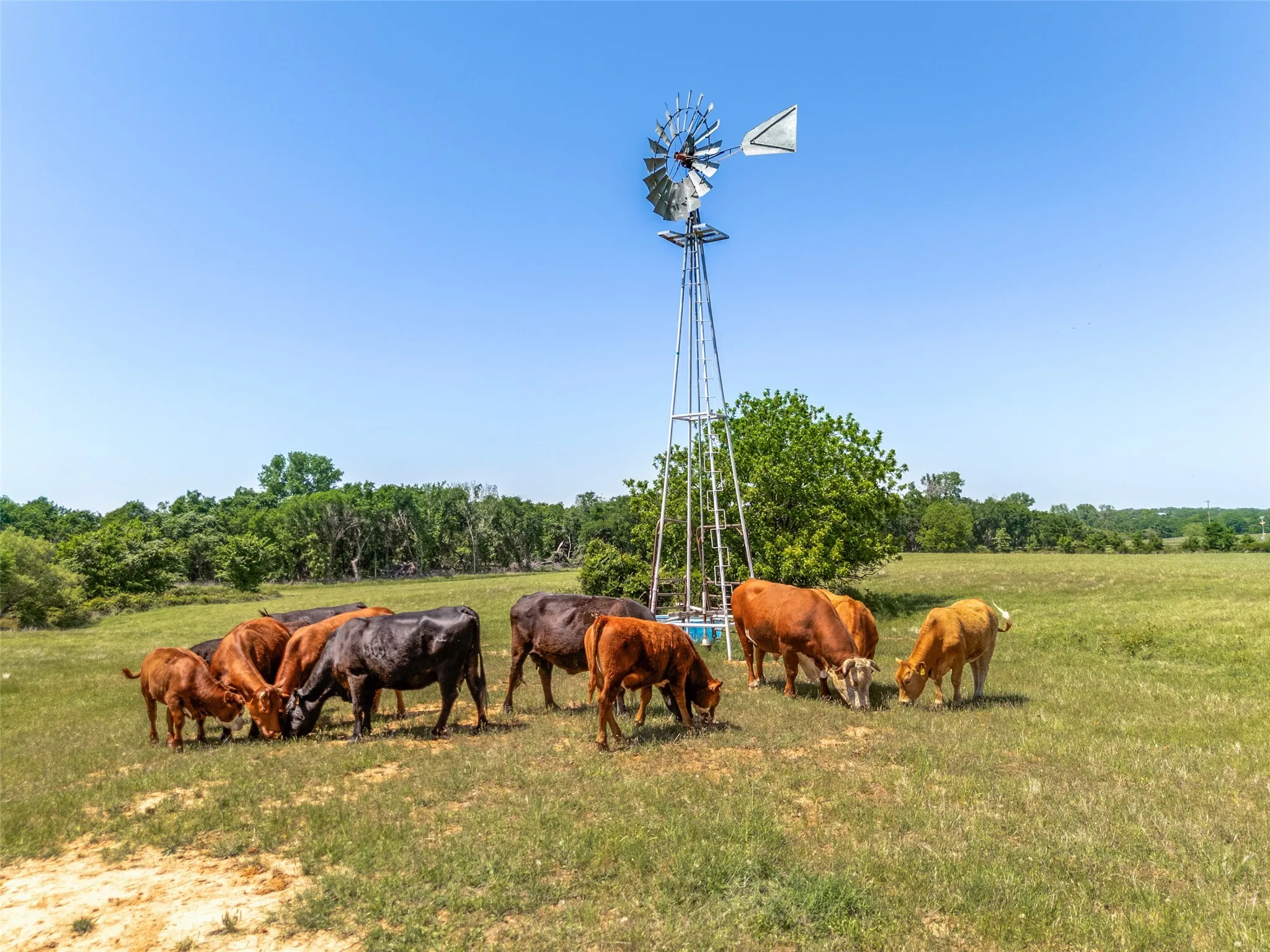 Unimproved Land For Sale in Parker County , 599 Lone Star, Poolville, Texas 76487, 0, 0, Garage spaces, 0 Sqft, built in 0, Price $875,000, mls#21248432, Real Estate Agent in Poolville, Homes For Sale in Parker county, Homes For Sale in Poolville, Realtor in Poolville Texas, Real Estate Brokerage Independent Realty Texas, Luminita Cordes Realtor