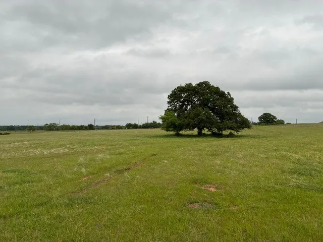 Unimproved Land For Sale in Parker County , 599 Lone Star, Poolville, Texas 76487, 0, 0, Garage spaces, 0 Sqft, built in 0, Price $875,000, mls#21248432, Real Estate Agent in Poolville, Homes For Sale in Parker county, Homes For Sale in Poolville, Realtor in Poolville Texas, Real Estate Brokerage Independent Realty Texas, Luminita Cordes Realtor