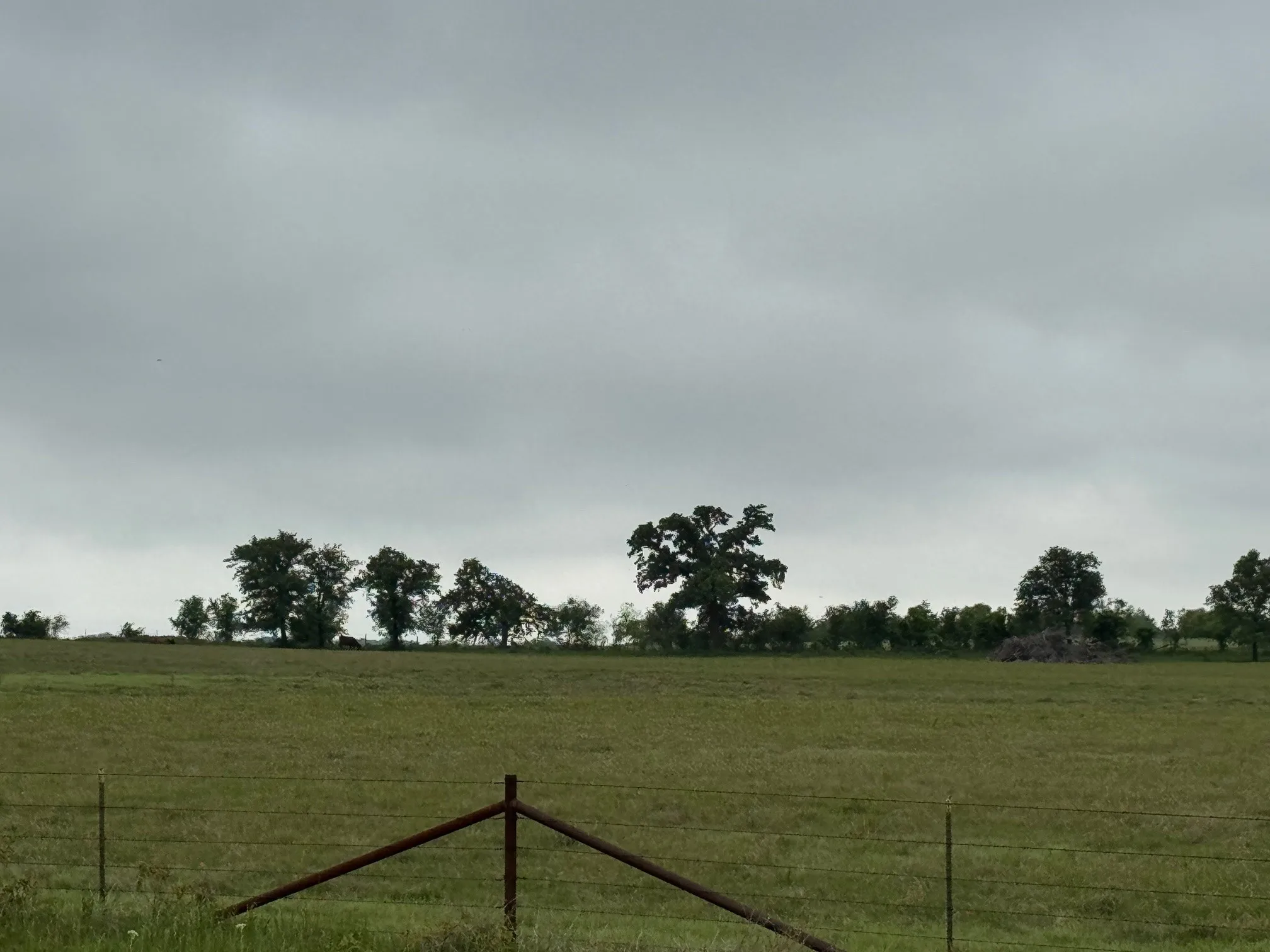 Unimproved Land For Sale in Parker County , 599 Lone Star, Poolville, Texas 76487, 0, 0, Garage spaces, 0 Sqft, built in 0, Price $875,000, mls#21248432, Real Estate Agent in Poolville, Homes For Sale in Parker county, Homes For Sale in Poolville, Realtor in Poolville Texas, Real Estate Brokerage Independent Realty Texas, Luminita Cordes Realtor
