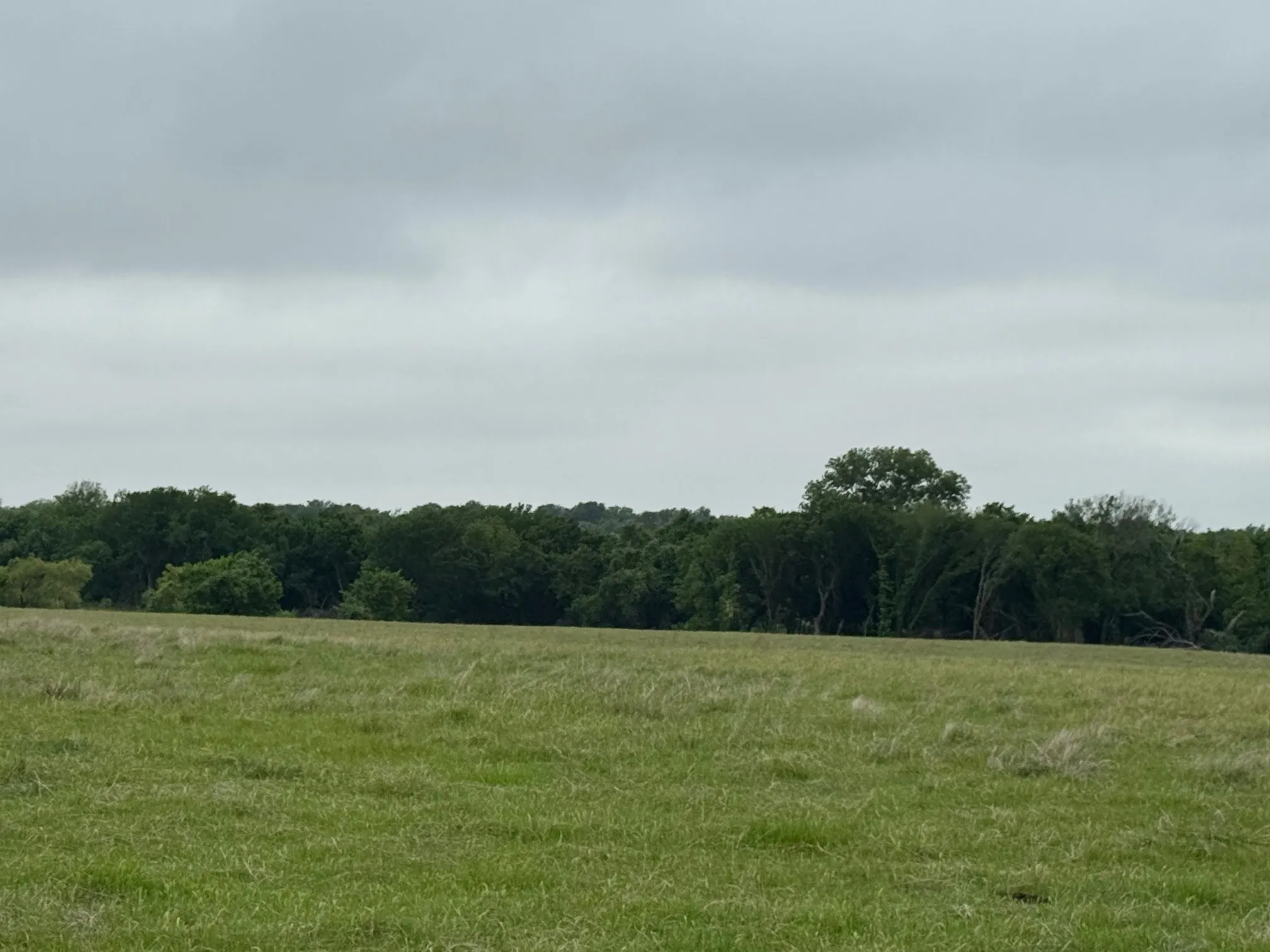 Unimproved Land For Sale in Parker County , 599 Lone Star, Poolville, Texas 76487, 0, 0, Garage spaces, 0 Sqft, built in 0, Price $875,000, mls#21248432, Real Estate Agent in Poolville, Homes For Sale in Parker county, Homes For Sale in Poolville, Realtor in Poolville Texas, Real Estate Brokerage Independent Realty Texas, Luminita Cordes Realtor