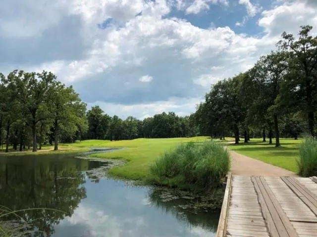 Unimproved Land For Sale in Henderson County , 227 Colonial Drive, Mabank, Texas 75156, 0, 0, Garage spaces, 0 Sqft, built in 0, Price $99,500, mls#21241052, Real Estate Agent in Mabank, Homes For Sale in Henderson county, Homes For Sale in Mabank, Realtor in Mabank Texas, Real Estate Brokerage Independent Realty Texas, Luminita Cordes Realtor