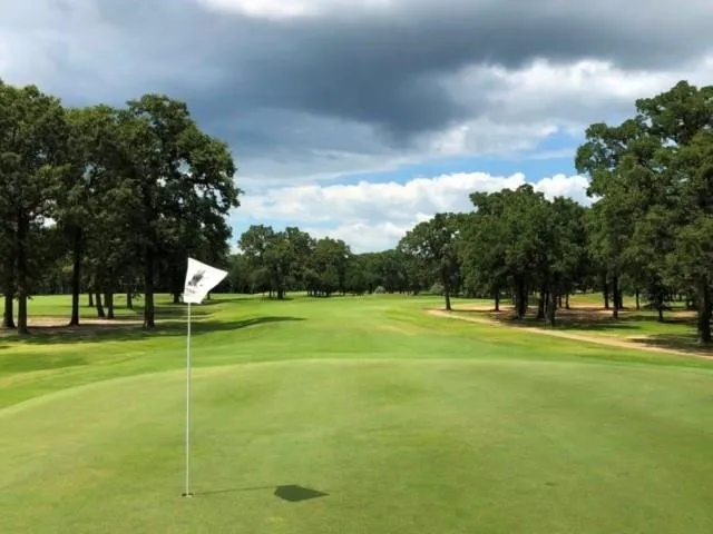 Unimproved Land For Sale in Henderson County , 227 Colonial Drive, Mabank, Texas 75156, 0, 0, Garage spaces, 0 Sqft, built in 0, Price $99,500, mls#21241052, Real Estate Agent in Mabank, Homes For Sale in Henderson county, Homes For Sale in Mabank, Realtor in Mabank Texas, Real Estate Brokerage Independent Realty Texas, Luminita Cordes Realtor