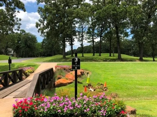 Unimproved Land For Sale in Henderson County , 227 Colonial Drive, Mabank, Texas 75156, 0, 0, Garage spaces, 0 Sqft, built in 0, Price $99,500, mls#21241052, Real Estate Agent in Mabank, Homes For Sale in Henderson county, Homes For Sale in Mabank, Realtor in Mabank Texas, Real Estate Brokerage Independent Realty Texas, Luminita Cordes Realtor