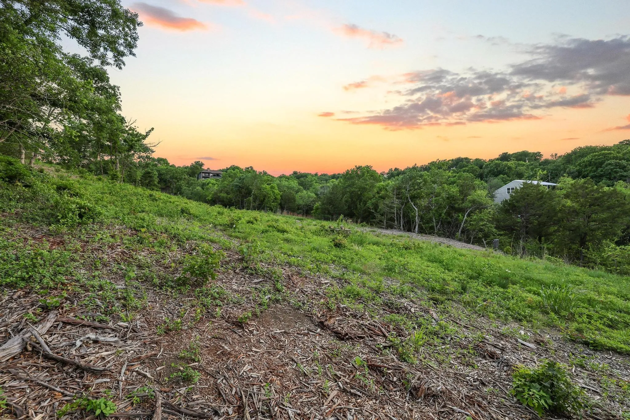 Unimproved Land For Sale in Grayson County , 437 Neva Lane, Denison, Texas 75020, 0, 0, Garage spaces, 0 Sqft, built in 0, Price $1,250,000, mls#21248546, Real Estate Agent in Denison, Homes For Sale in Grayson county, Homes For Sale in Denison, Realtor in Denison Texas, Real Estate Brokerage Independent Realty Texas, Luminita Cordes Realtor