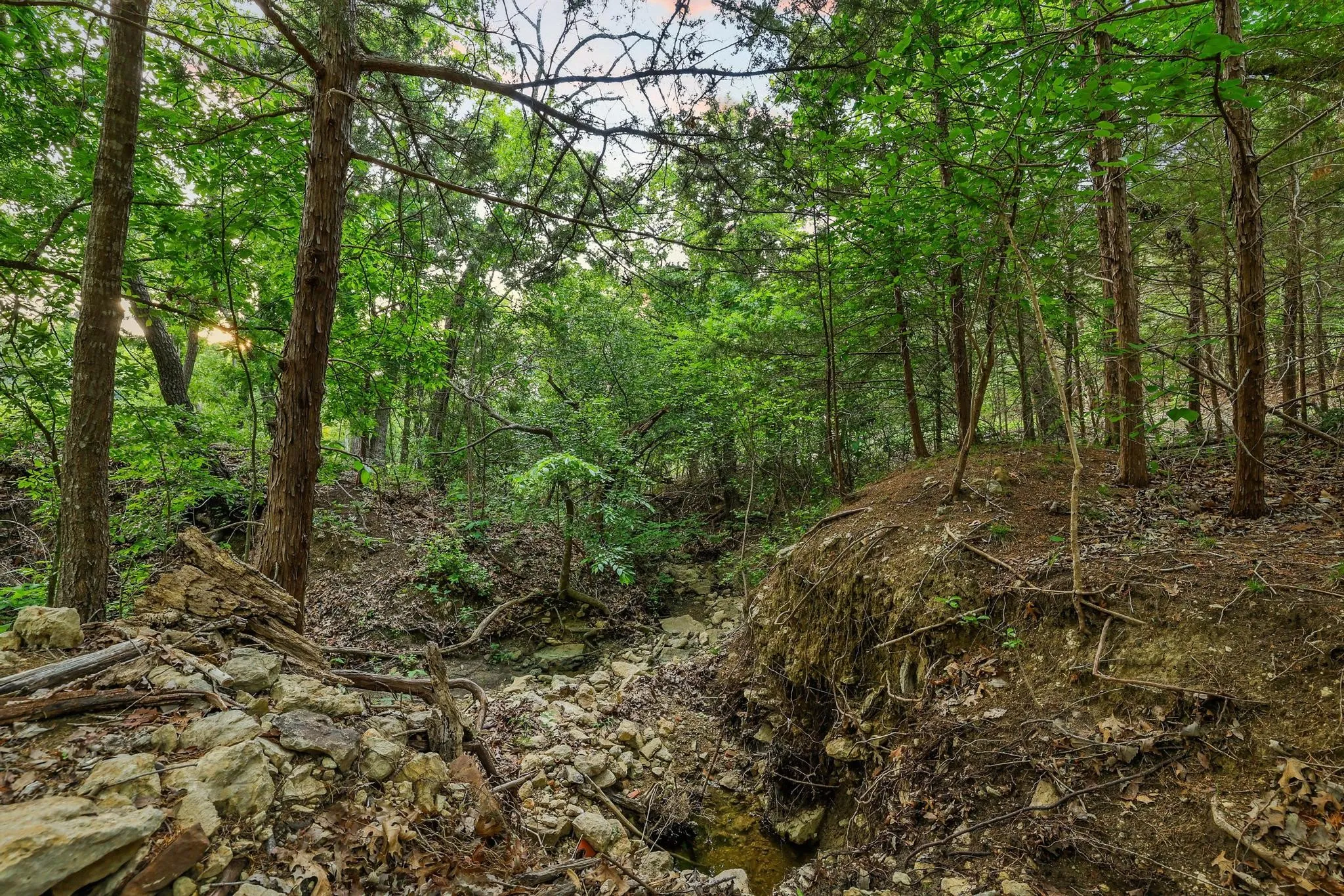 Unimproved Land For Sale in Grayson County , 437 Neva Lane, Denison, Texas 75020, 0, 0, Garage spaces, 0 Sqft, built in 0, Price $1,250,000, mls#21248546, Real Estate Agent in Denison, Homes For Sale in Grayson county, Homes For Sale in Denison, Realtor in Denison Texas, Real Estate Brokerage Independent Realty Texas, Luminita Cordes Realtor