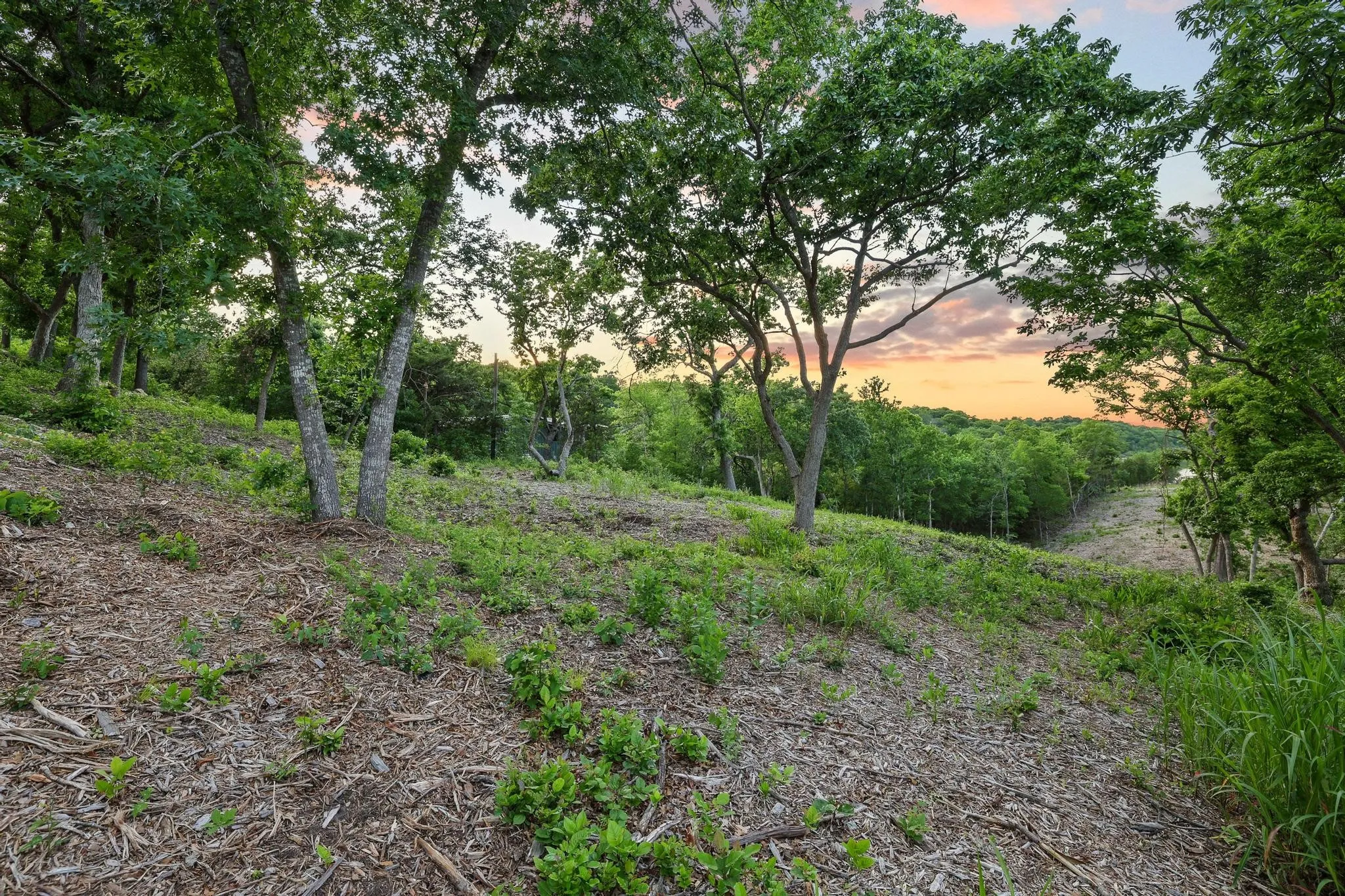 Unimproved Land For Sale in Grayson County , 437 Neva Lane, Denison, Texas 75020, 0, 0, Garage spaces, 0 Sqft, built in 0, Price $1,250,000, mls#21248546, Real Estate Agent in Denison, Homes For Sale in Grayson county, Homes For Sale in Denison, Realtor in Denison Texas, Real Estate Brokerage Independent Realty Texas, Luminita Cordes Realtor