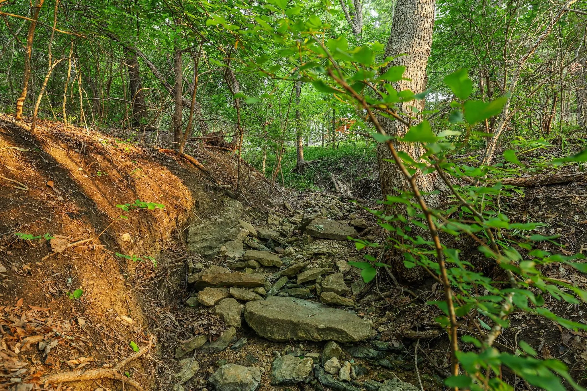 Unimproved Land For Sale in Grayson County , 437 Neva Lane, Denison, Texas 75020, 0, 0, Garage spaces, 0 Sqft, built in 0, Price $1,250,000, mls#21248546, Real Estate Agent in Denison, Homes For Sale in Grayson county, Homes For Sale in Denison, Realtor in Denison Texas, Real Estate Brokerage Independent Realty Texas, Luminita Cordes Realtor