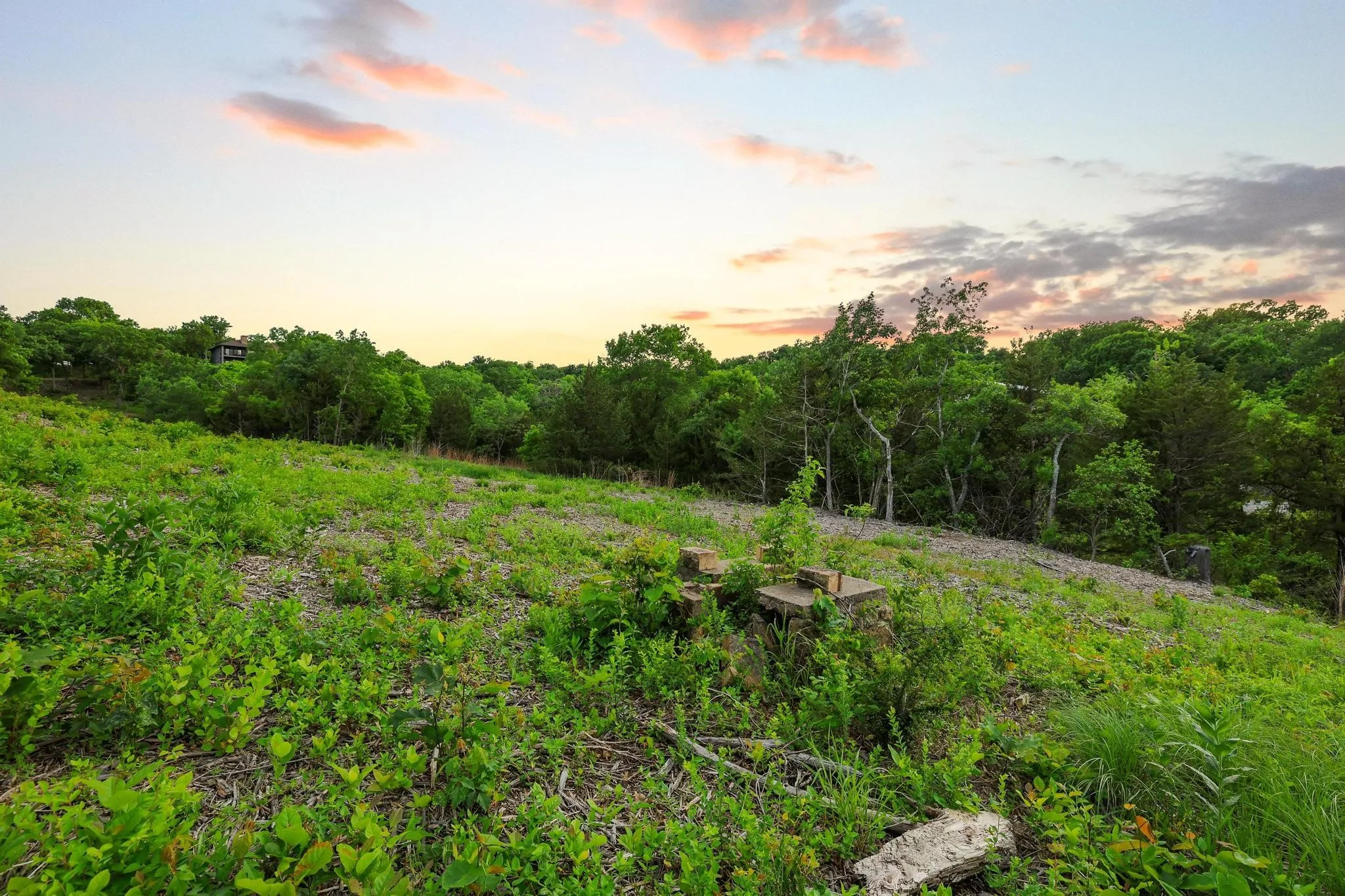 Unimproved Land For Sale in Grayson County , 437 Neva Lane, Denison, Texas 75020, 0, 0, Garage spaces, 0 Sqft, built in 0, Price $1,250,000, mls#21248546, Real Estate Agent in Denison, Homes For Sale in Grayson county, Homes For Sale in Denison, Realtor in Denison Texas, Real Estate Brokerage Independent Realty Texas, Luminita Cordes Realtor