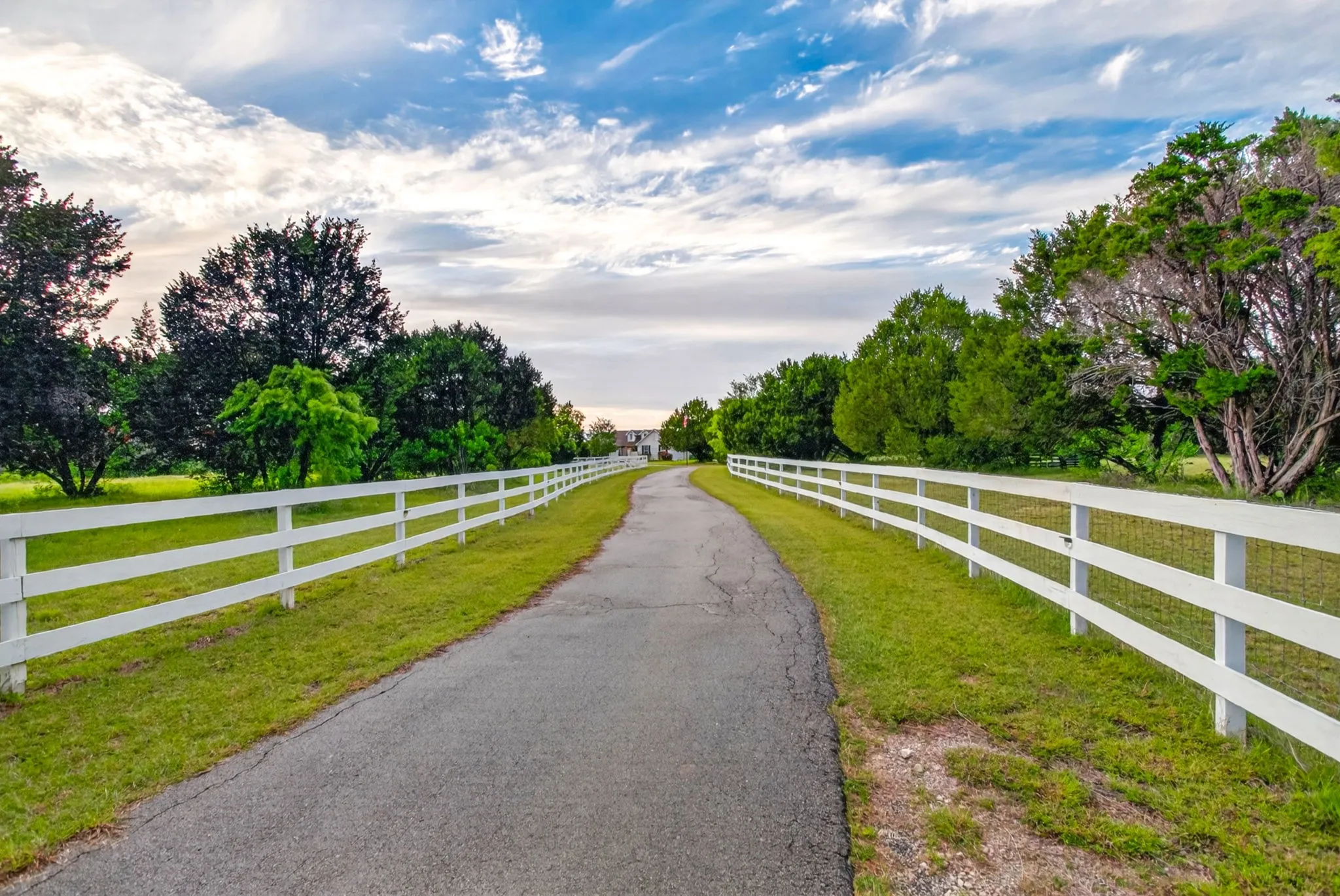 Perfectly private and mostly fenced 15.4 gated acres with mature trees, cedar, and open grazing areas.