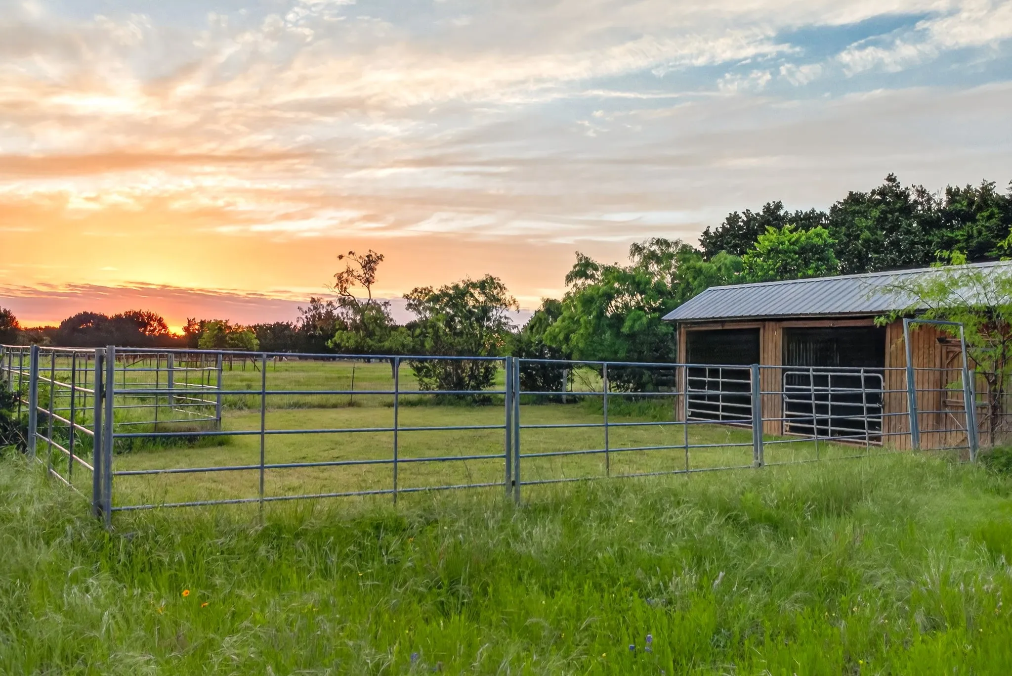 Equestrians, rejoice. Horse (and llamas, goats, and sheep) allowed! More cleared, fenced pasture on the opposite side of the driveway.