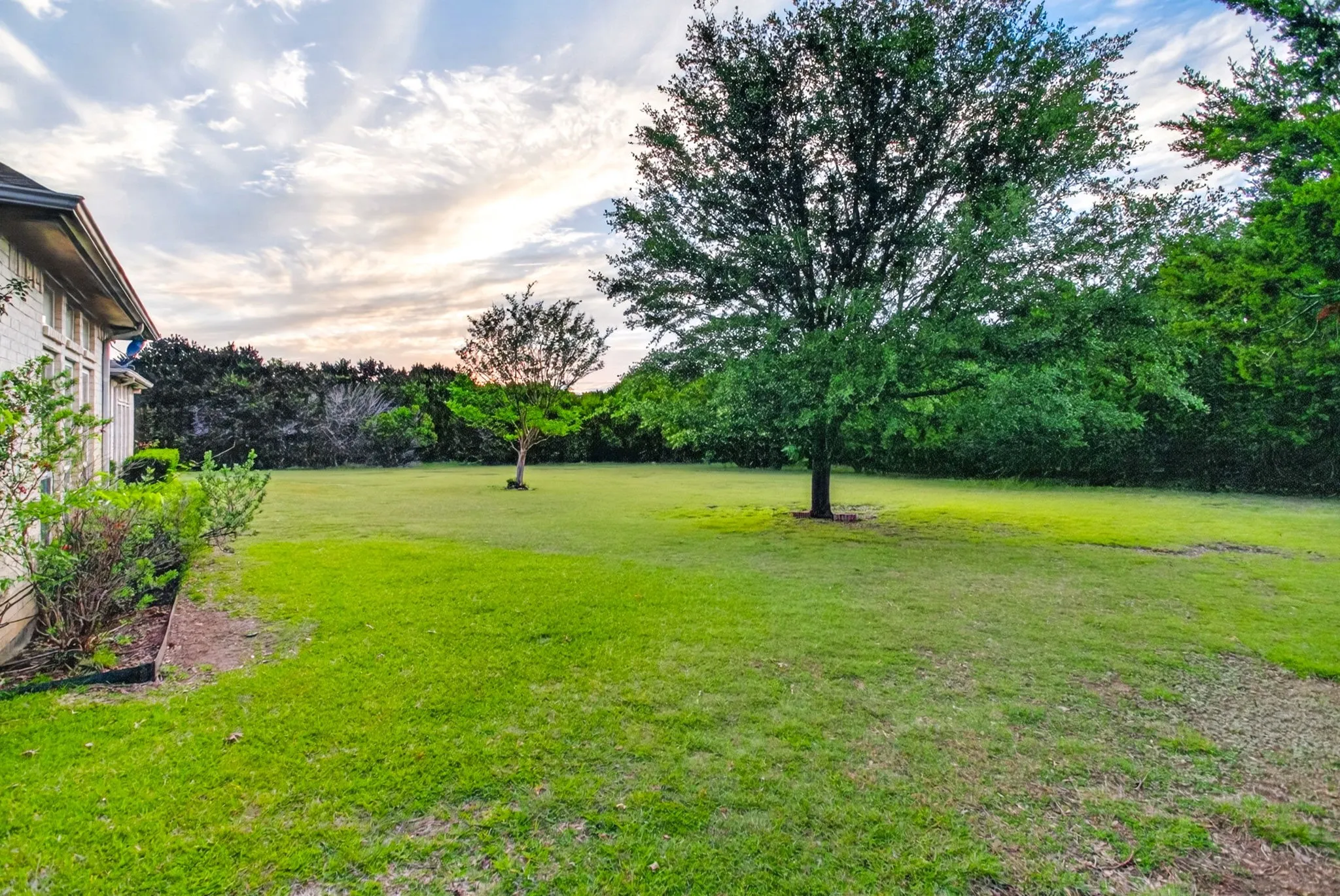 The immediate backyard is cleared; sprinklers service the perimeter of the home. Plenty of room for an in-ground pool or a workshop!