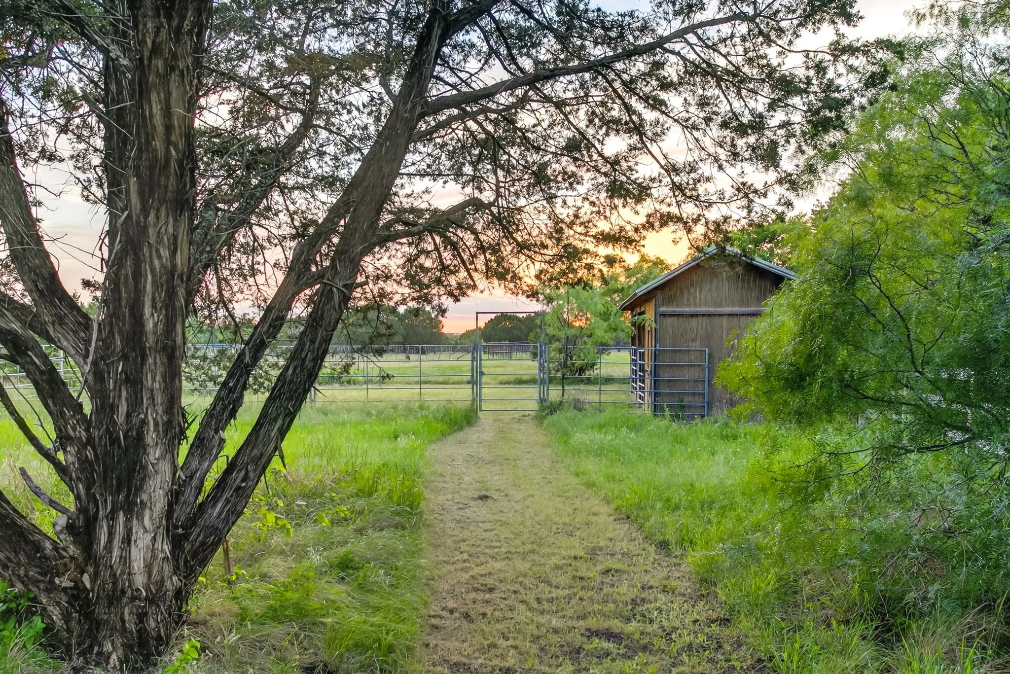 Heading out the front door to the right, you'll take the path to the enclosed horse pasture.