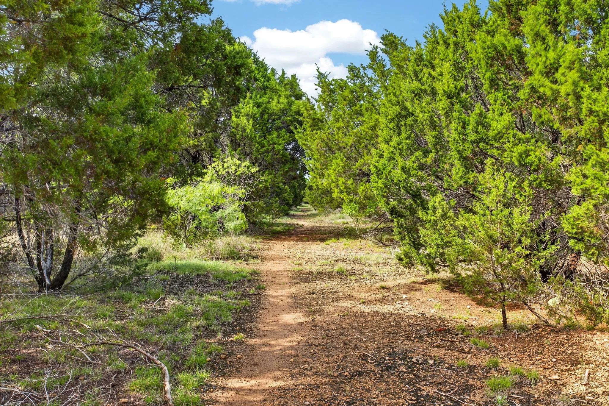 Trails run through the property for walks across the 15+ acres.