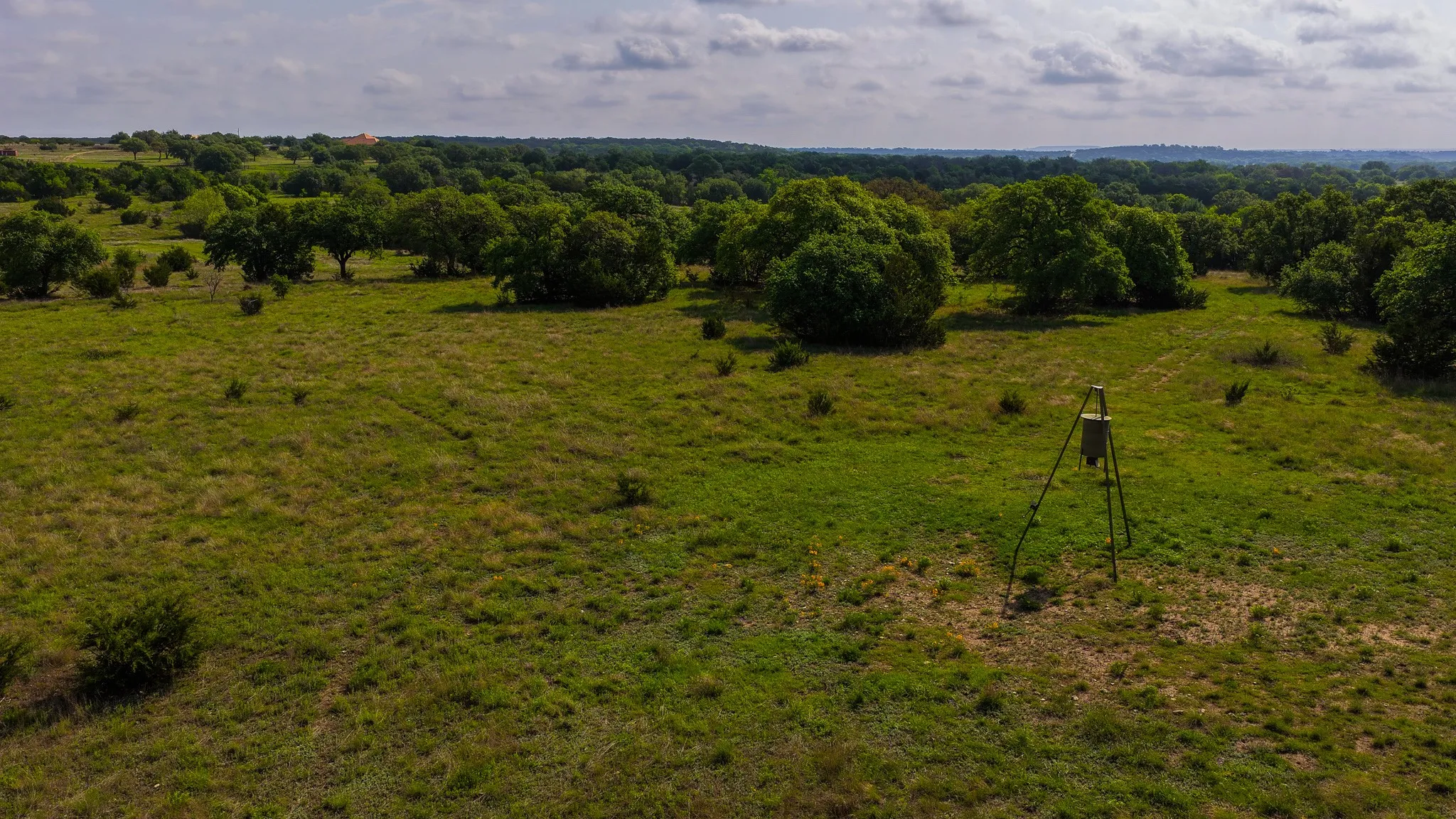 Expansive open field with scattered trees and a tripod feeder, bordered by dense woodlands in the distance