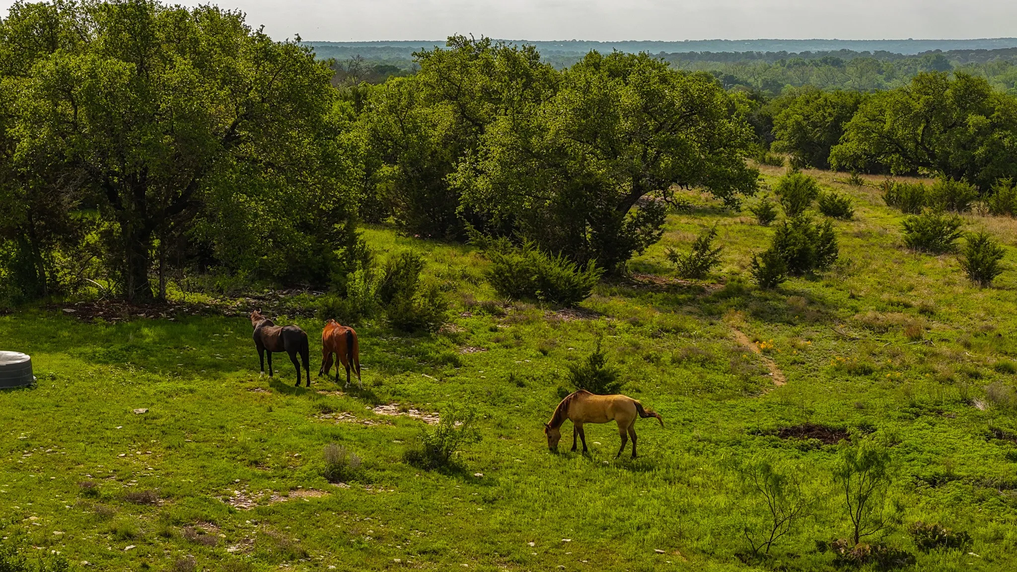 Improved Land For Sale in Hamilton County , TBD County Road 105, Hamilton, Texas 76531, 0, 0, Garage spaces, 0 Sqft, built in 0, Price $2,455,000, mls#21245183, Real Estate Agent in Hamilton, Homes For Sale in Hamilton county, Homes For Sale in Hamilton, Realtor in Hamilton Texas, Real Estate Brokerage Independent Realty Texas, Luminita Cordes Realtor