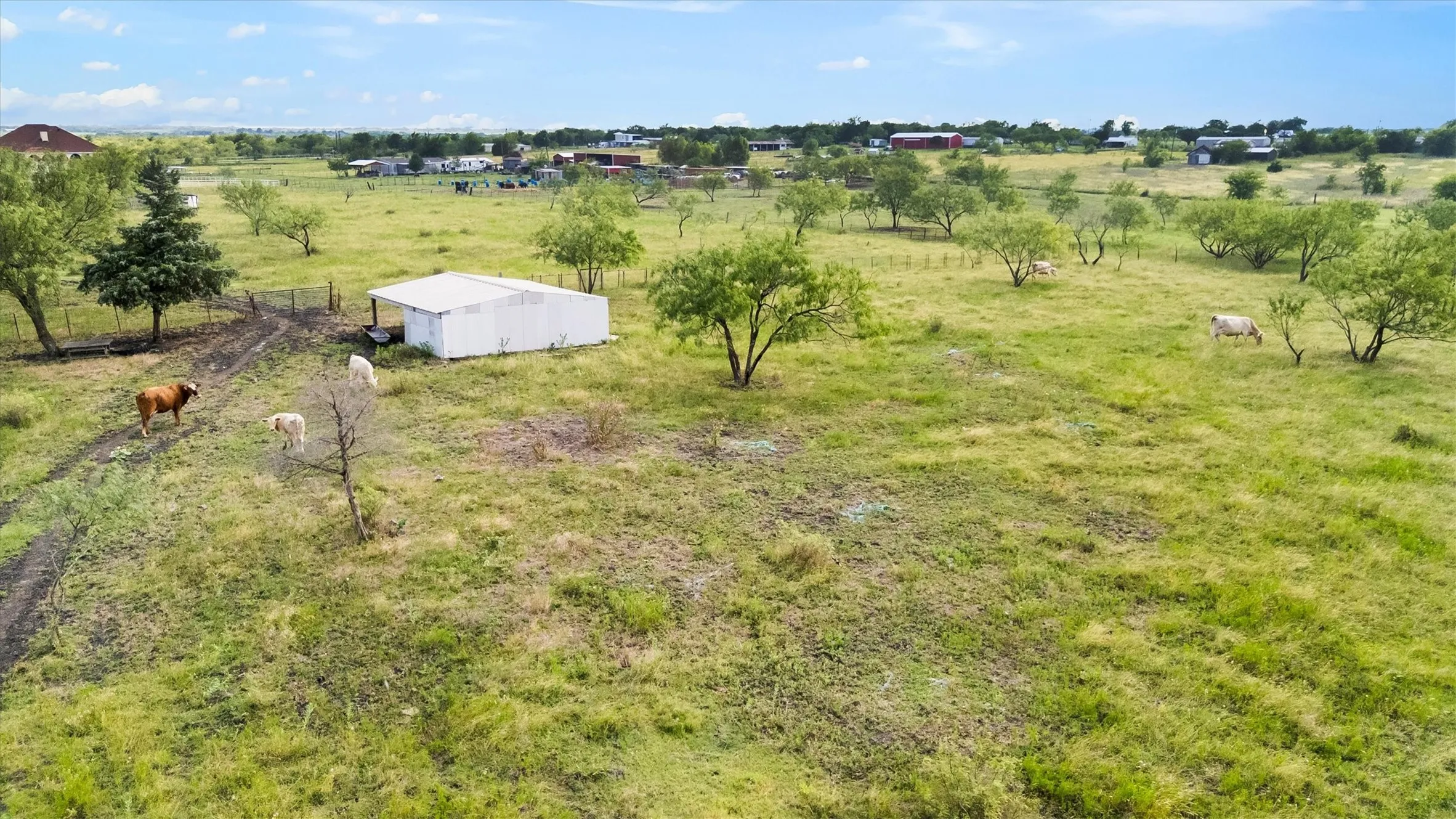 Farm For Sale in Ellis County , 241 Gentry Road, Ennis, Texas 75119, 7 Bedroom, 4 Bathroom, 4 Garage spaces, 5,150 Sqft, built in 2019, New Construction - Complete, mls#21246256, Real Estate Agent in Ennis, Homes For Sale in Ellis county, Homes For Sale in Ennis, Realtor in Ennis Texas, Real Estate Brokerage Independent Realty Texas, Luminita Cordes Realtor