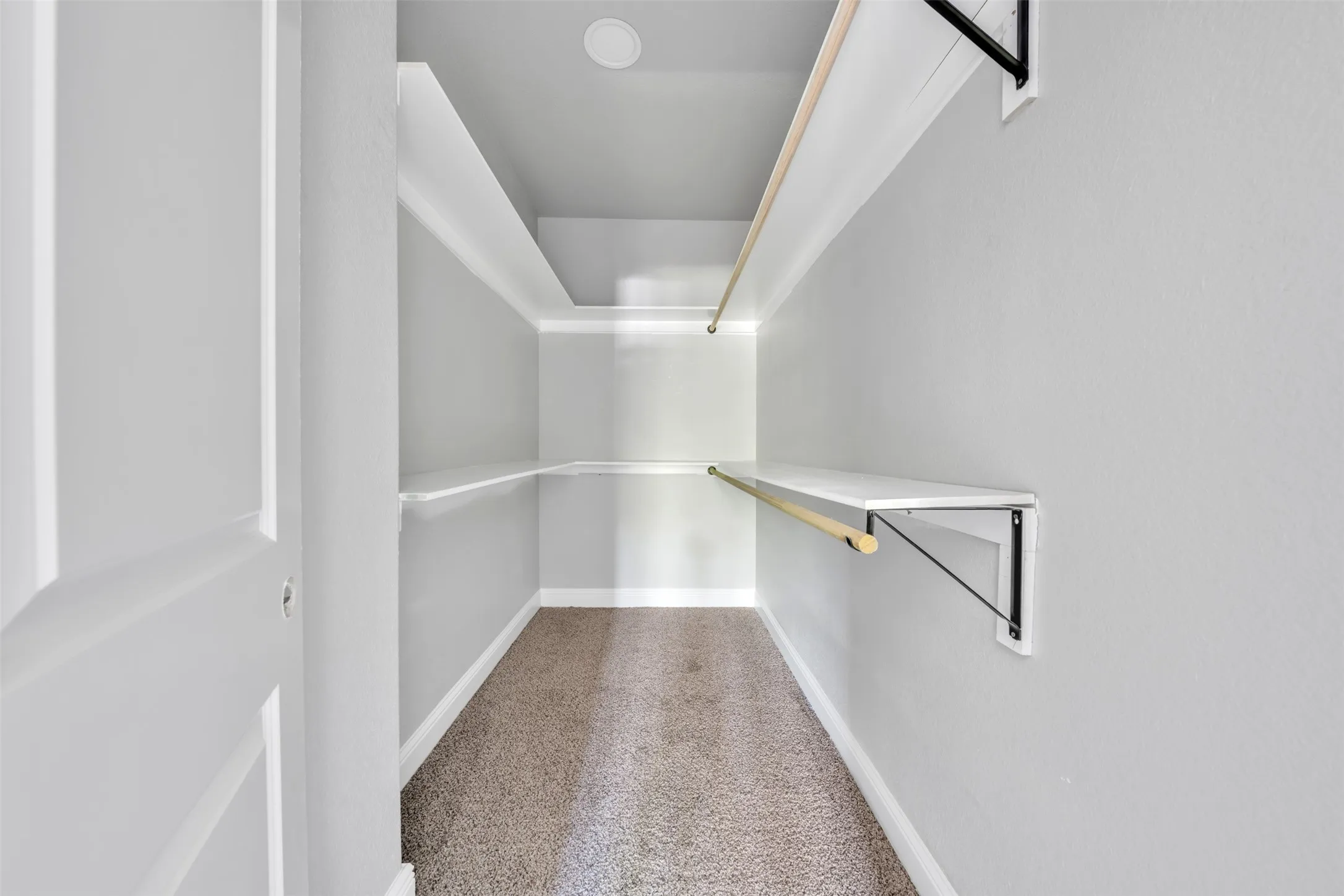 Walk-in closet featuring light gray walls, carpet flooring, multiple wooden hanging rods, and white shelving with black support brackets